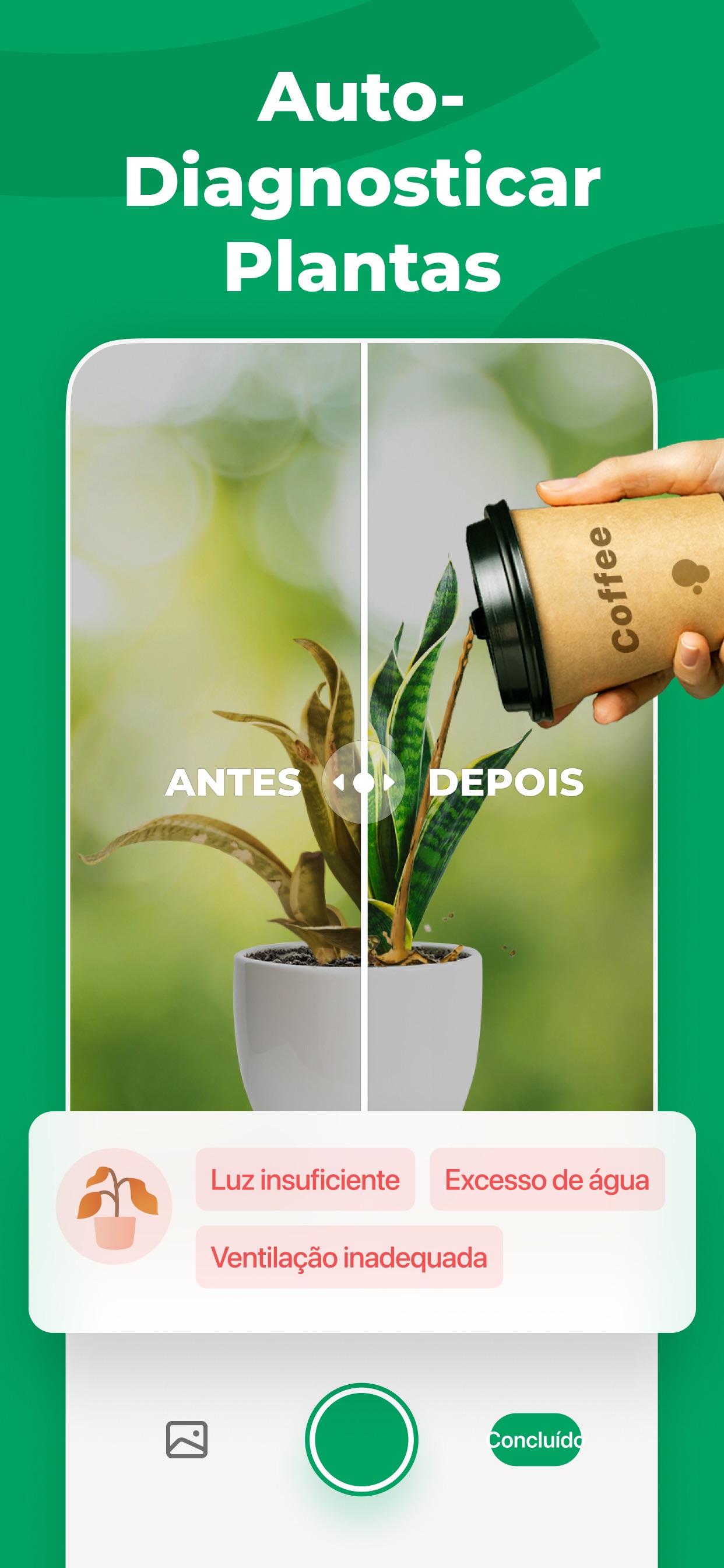 Captura de ecrã 3 da app PictureThis - Flores e Árvores