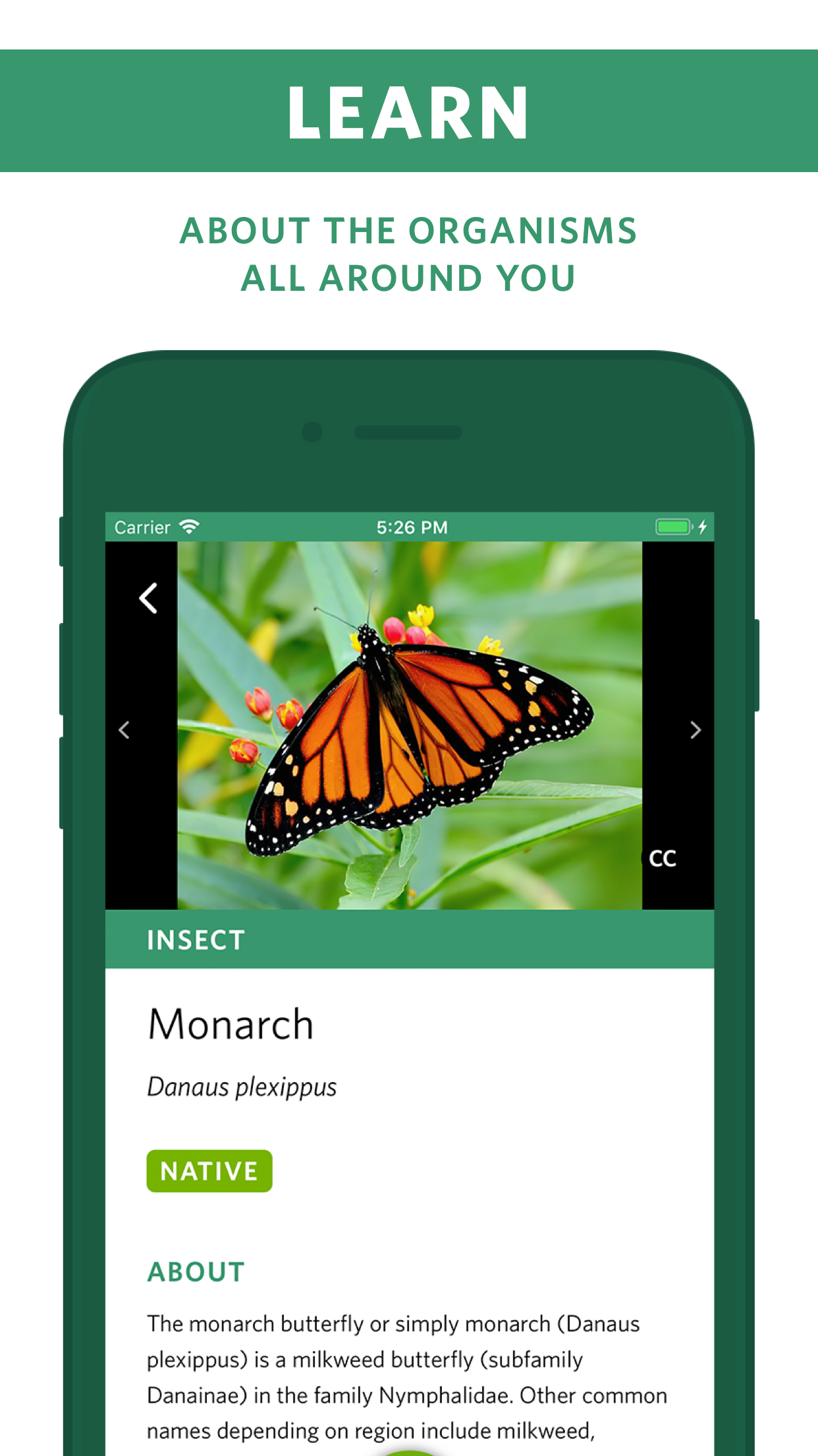 Captura de ecrã 3 da app Seek por iNaturalist