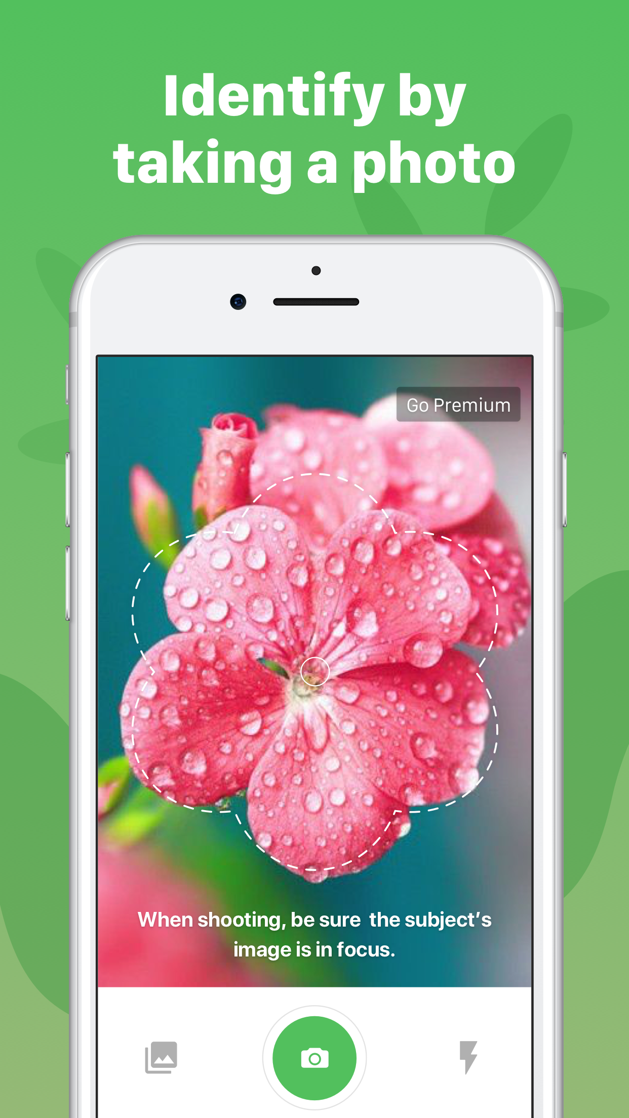 Captura de ecrã 4 da app Plant Identification ++
