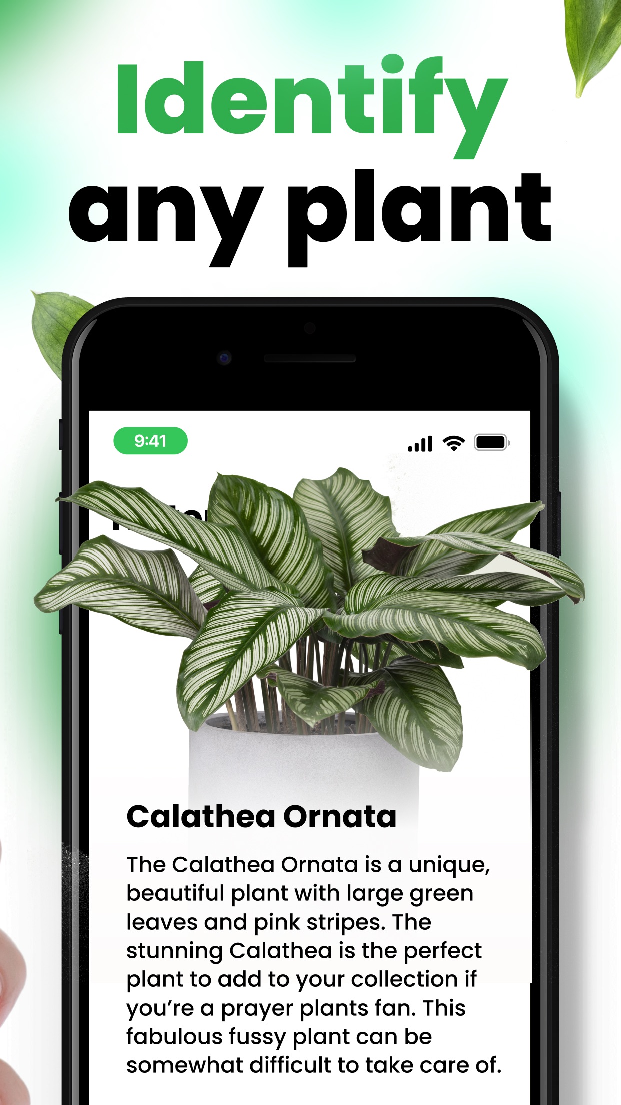 Captura de ecrã 2 da app Plantica - Plant Identifier