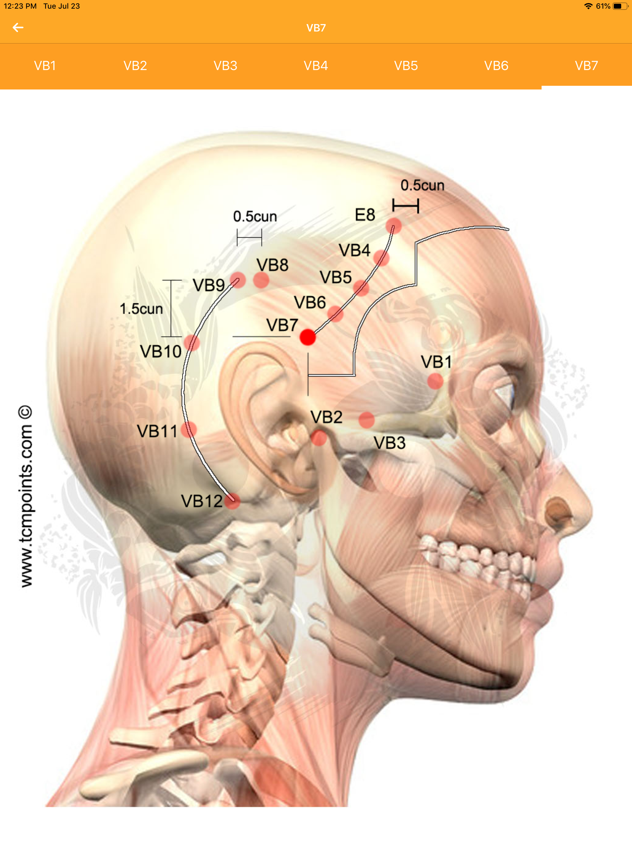 Captura de ecrã 1 da app Assistente de Acupuntura