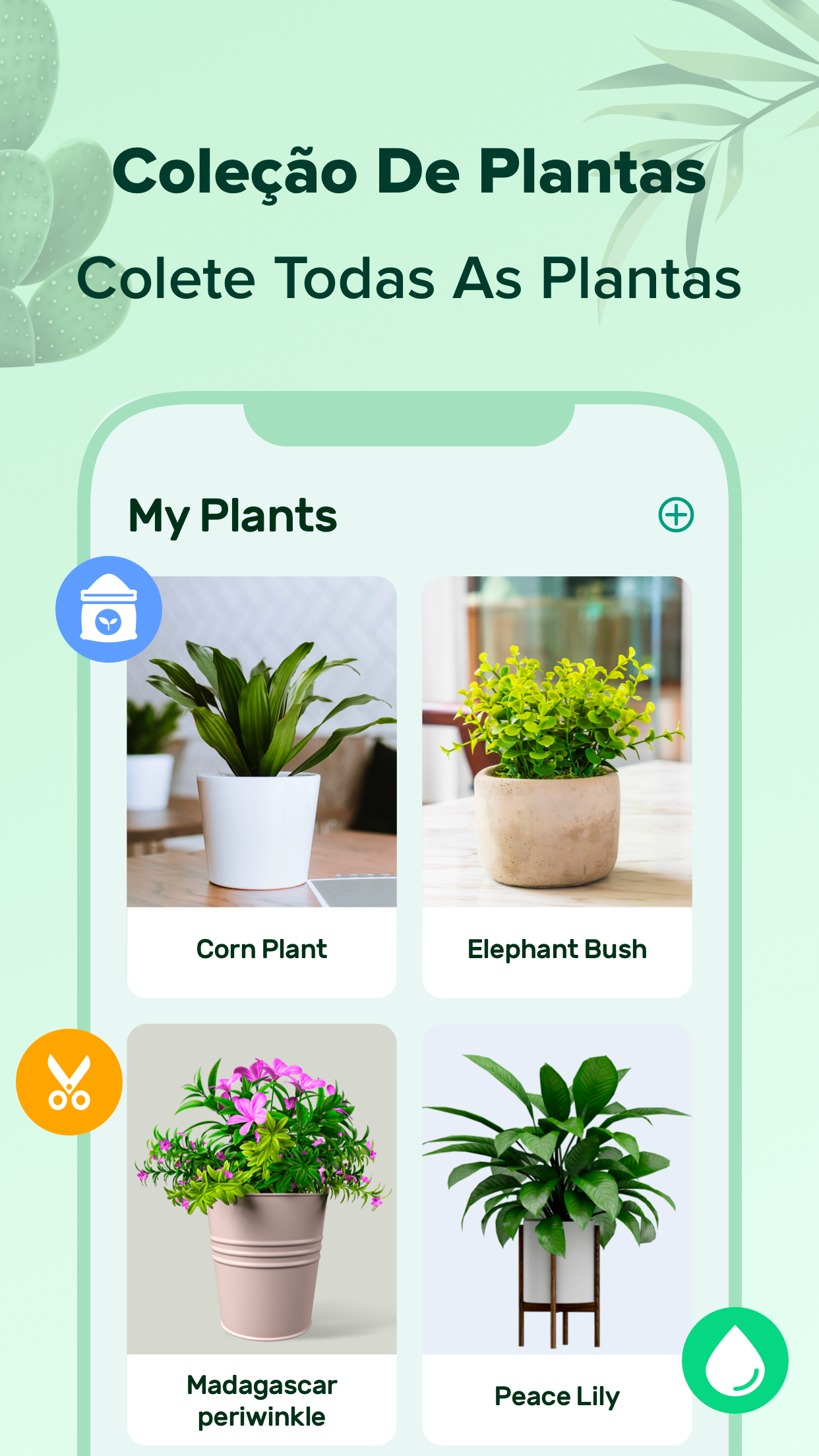 Captura de ecrã 4 da app PlantNow-Identificação Planta