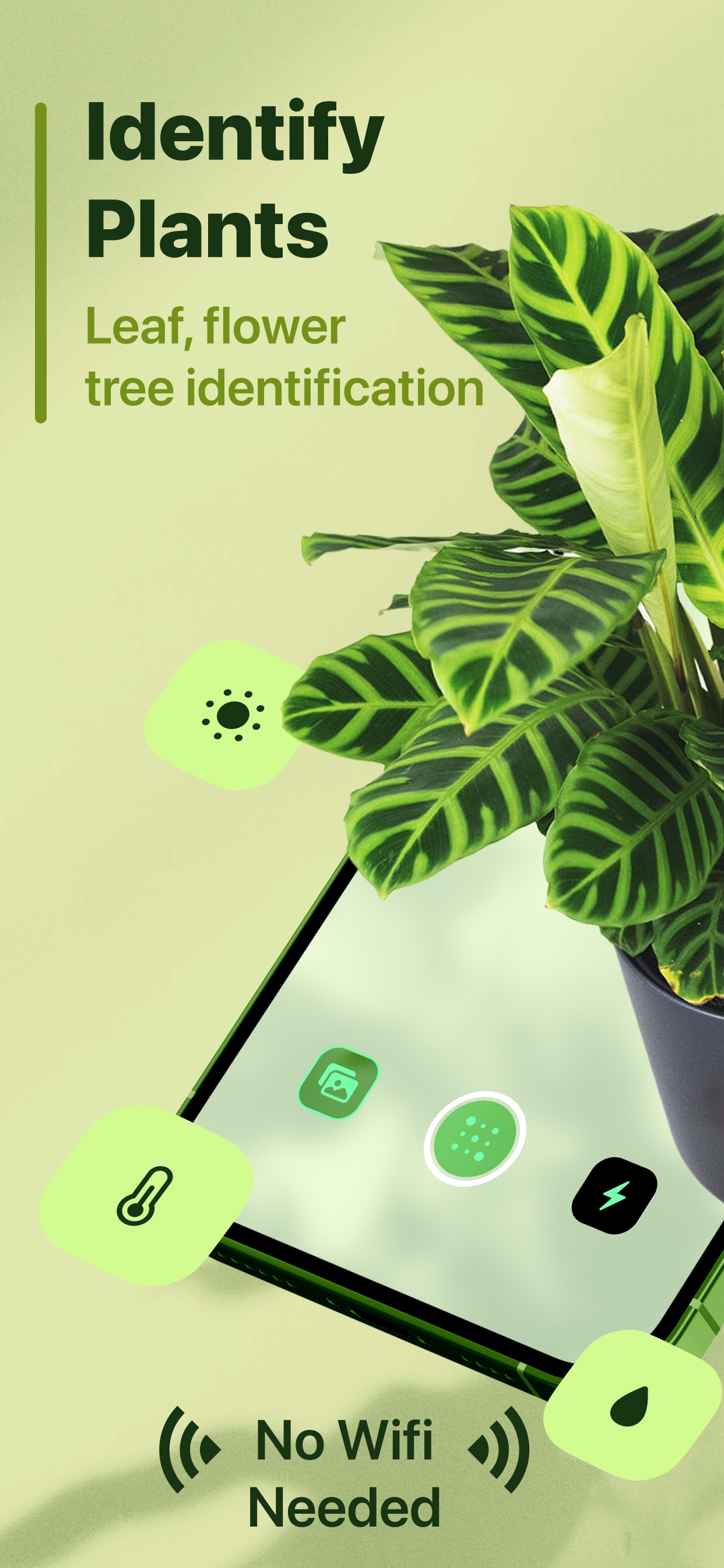 Captura de ecrã 1 da app Leaf Identification