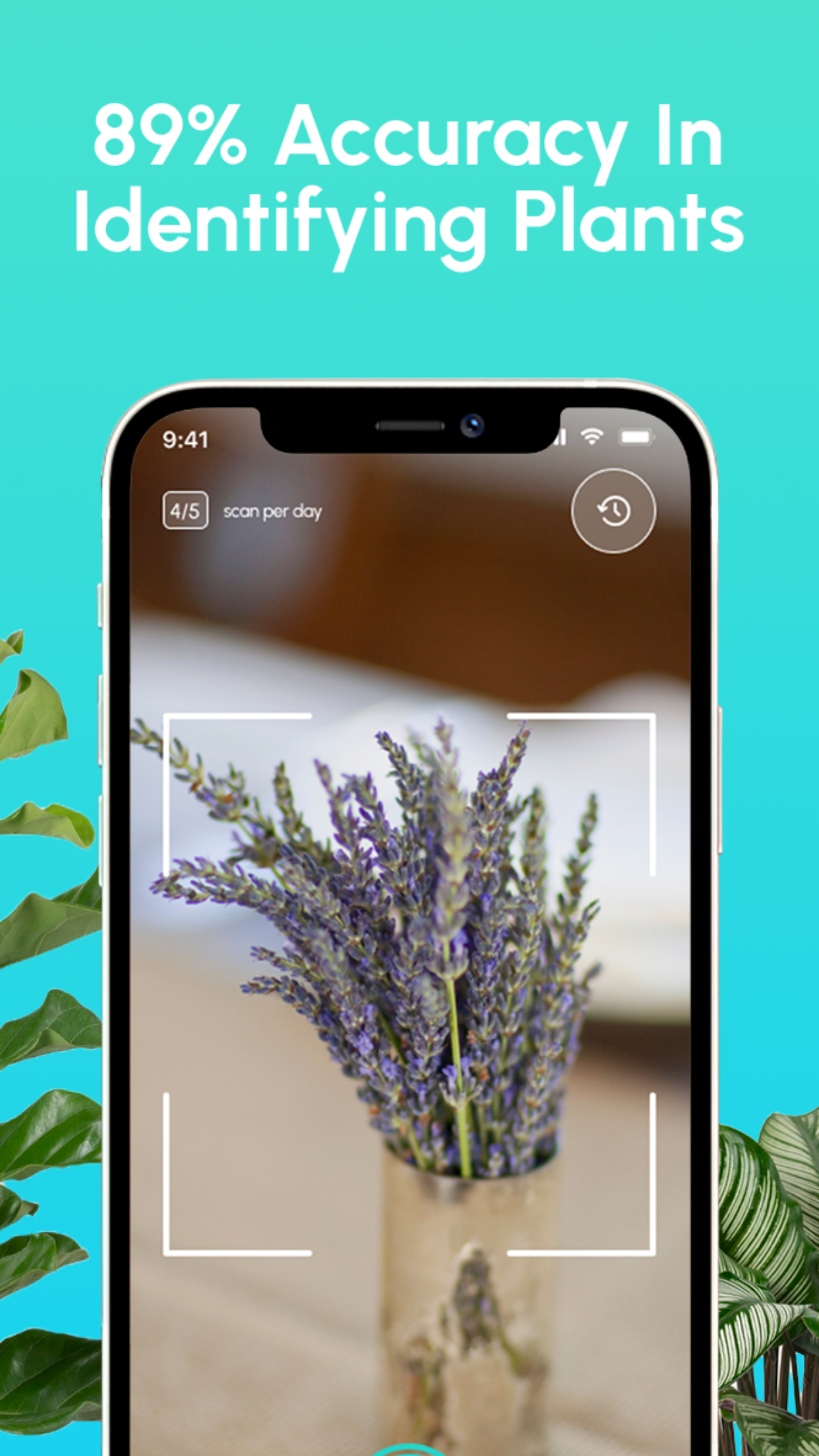 Captura de ecrã 4 da app PlantoScan Plant Identifier