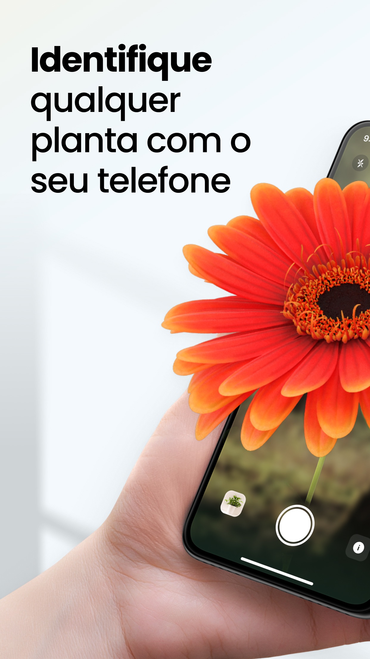Captura de ecrã 1 da app PlantApp – Identifica plantas