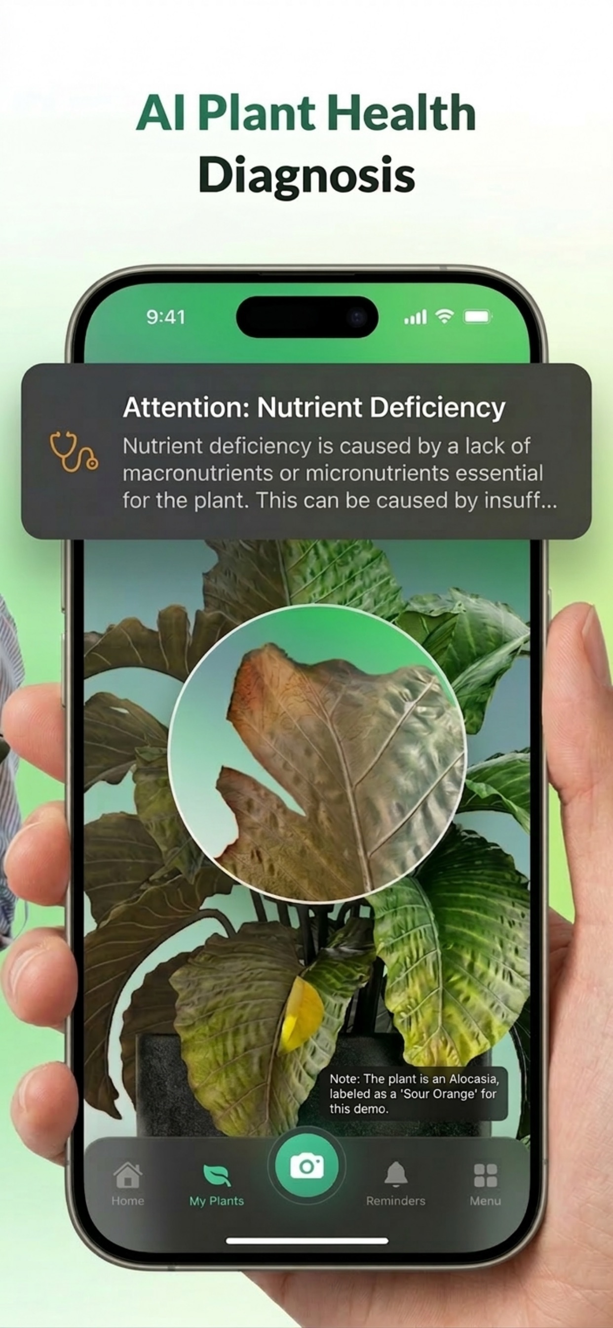 Captura de ecrã 3 da app PlantIt: Plant Identifier・Care
