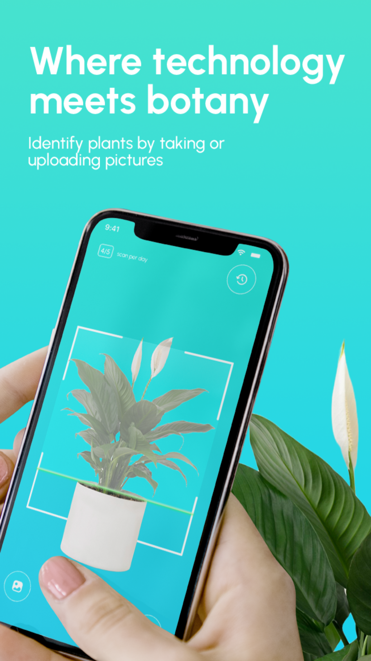 Captura de ecrã 2 da app PlantoScan Plant Identifier