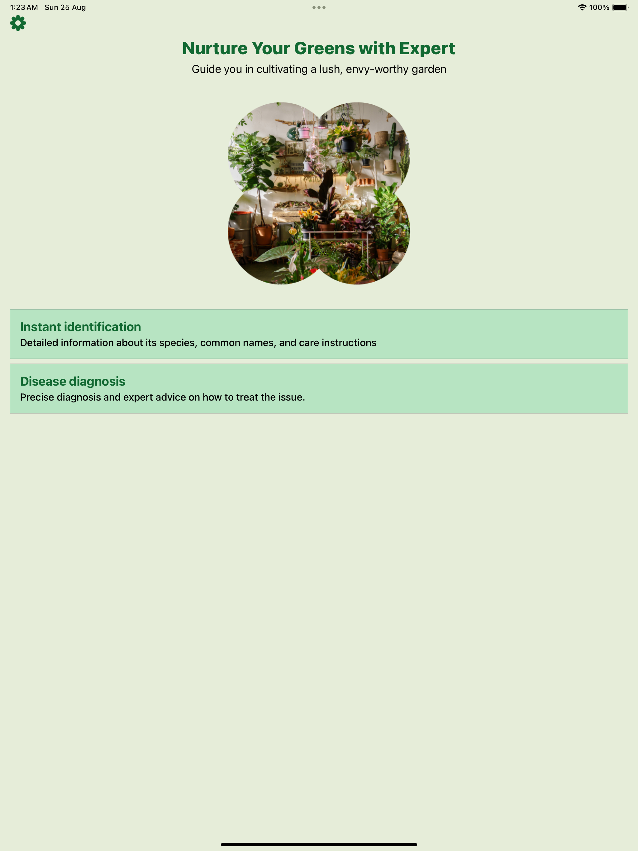 Captura de ecrã 4 da app Identificar e tratar doenças