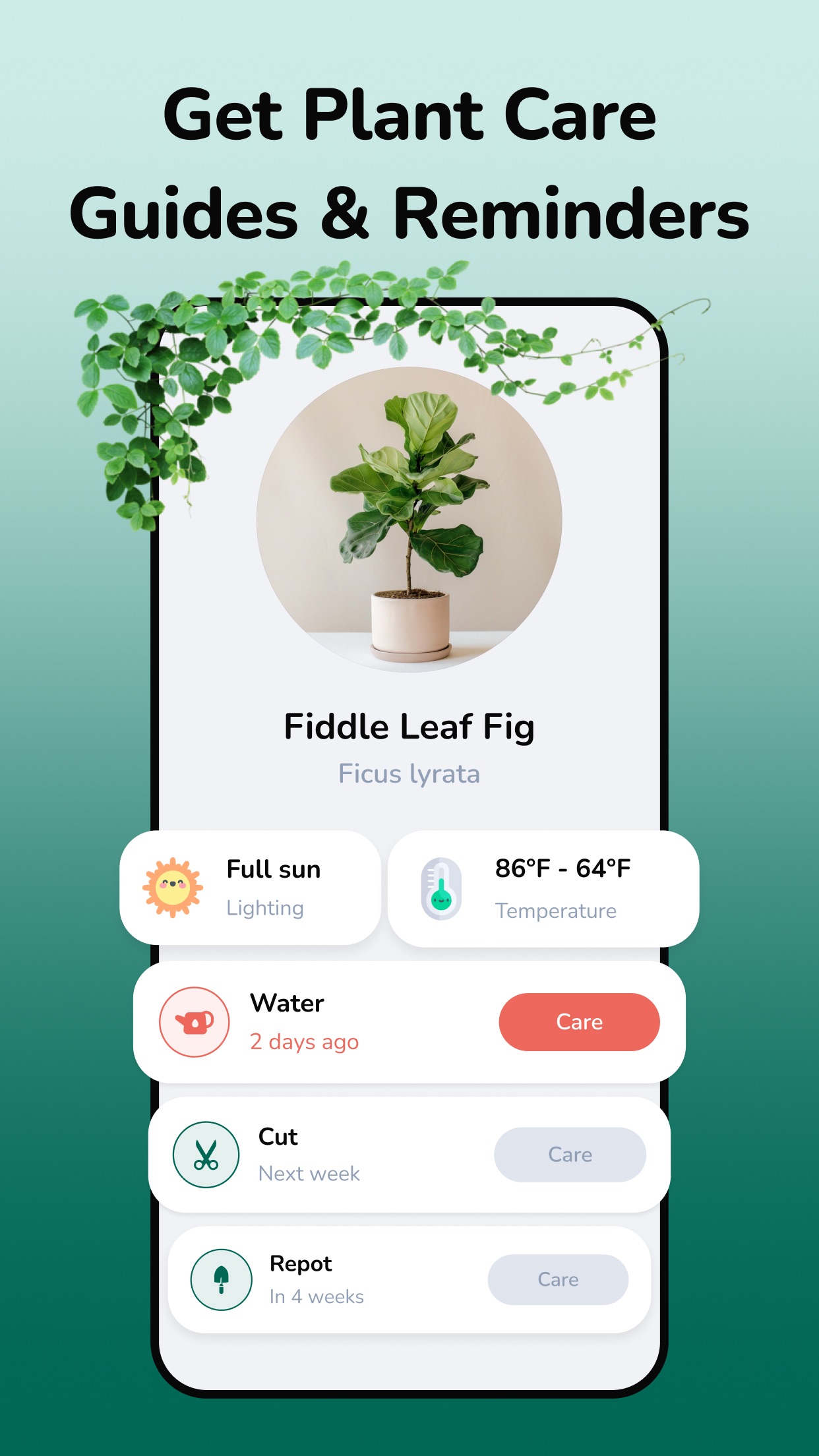 Captura de ecrã 3 da app Plantfie・Reconhece plantas