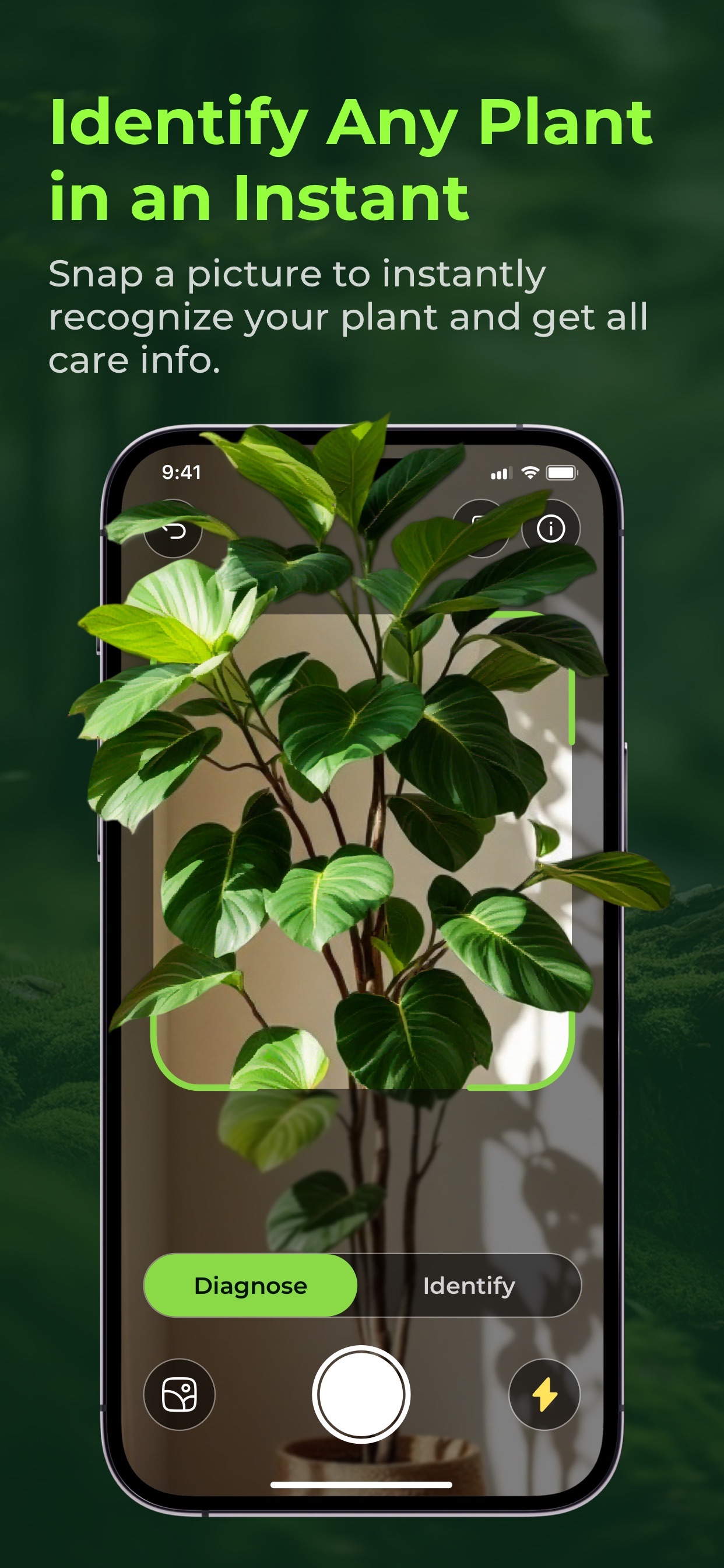 Captura de ecrã 4 da app PlantLoom：Plant Identifier