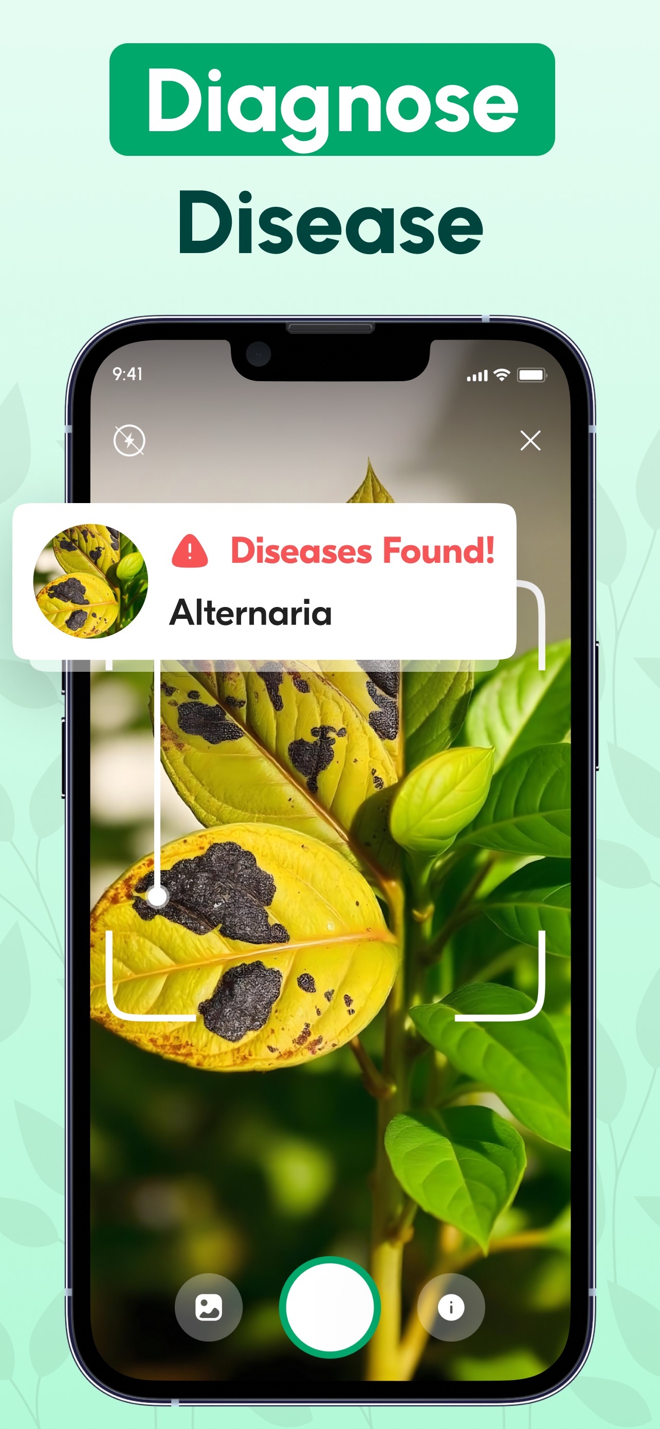 Captura de ecrã 2 da app Identificador de Plantas IA
