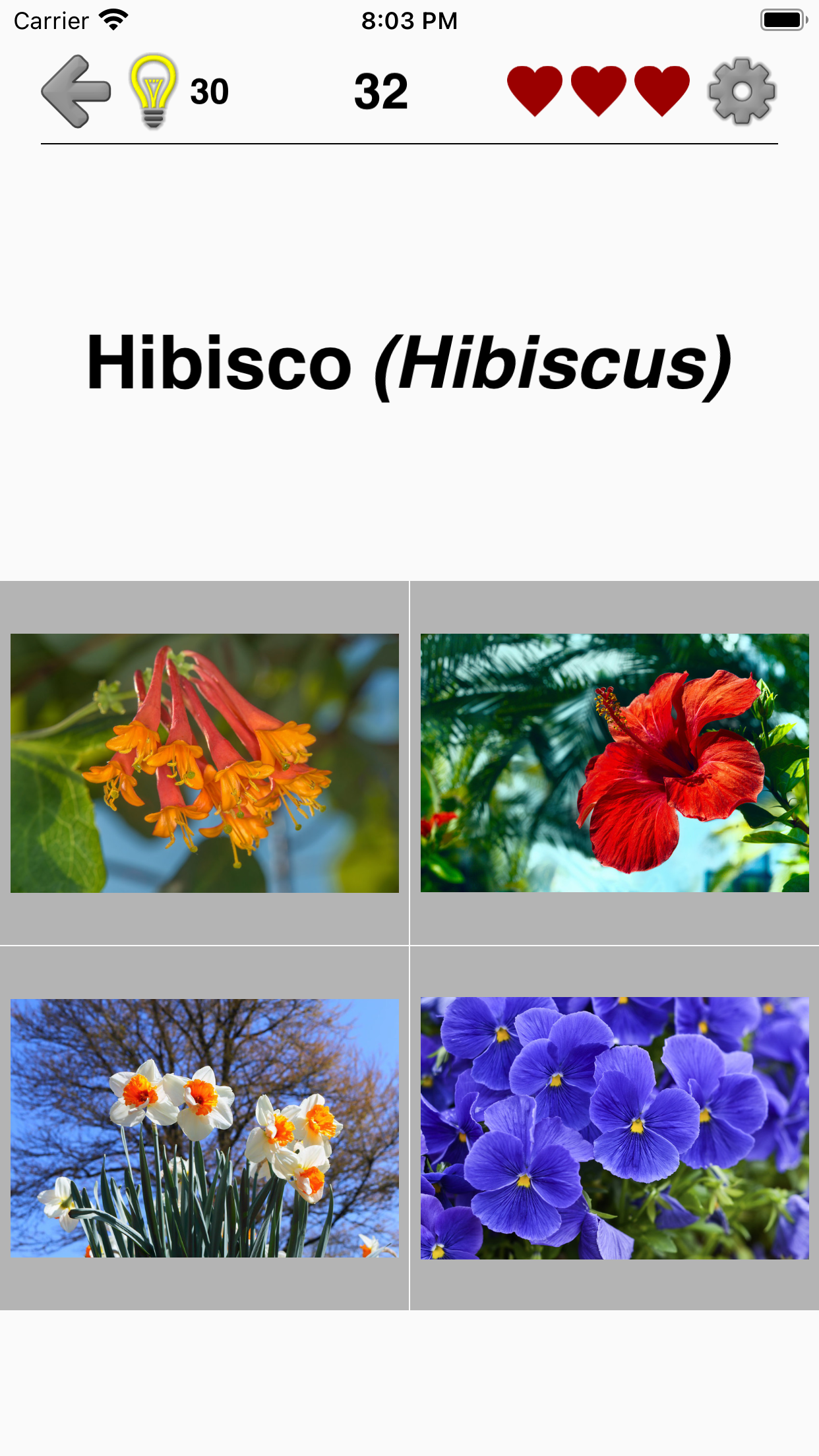 Captura de ecrã 4 da app Flores: identificar as plantas