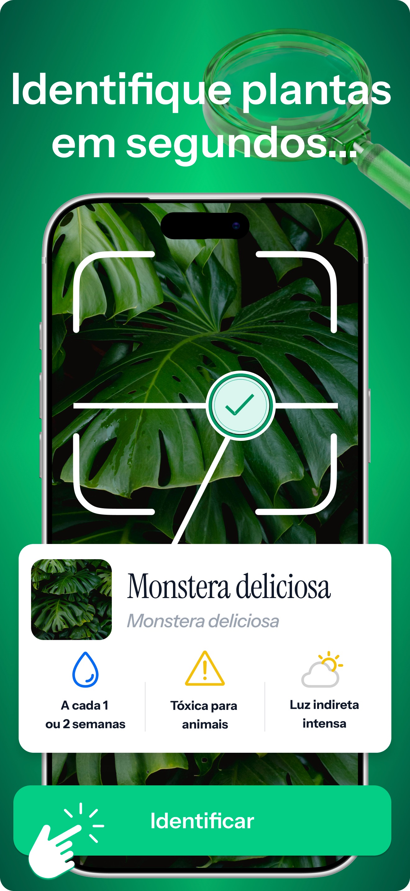 Captura de ecrã 1 da app Floralens: Identificar Planta