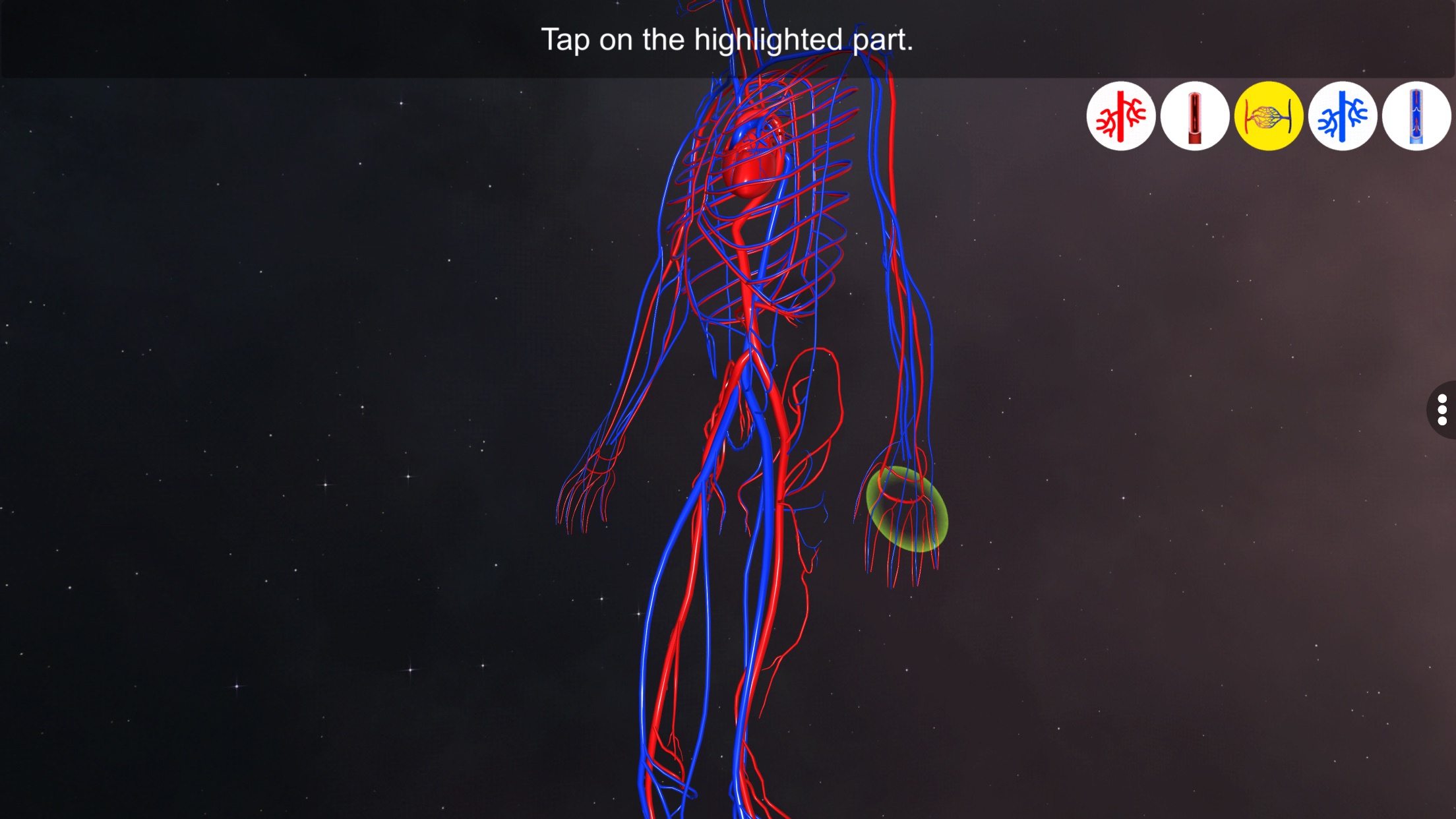 Captura de ecrã 3 da app Vascular system