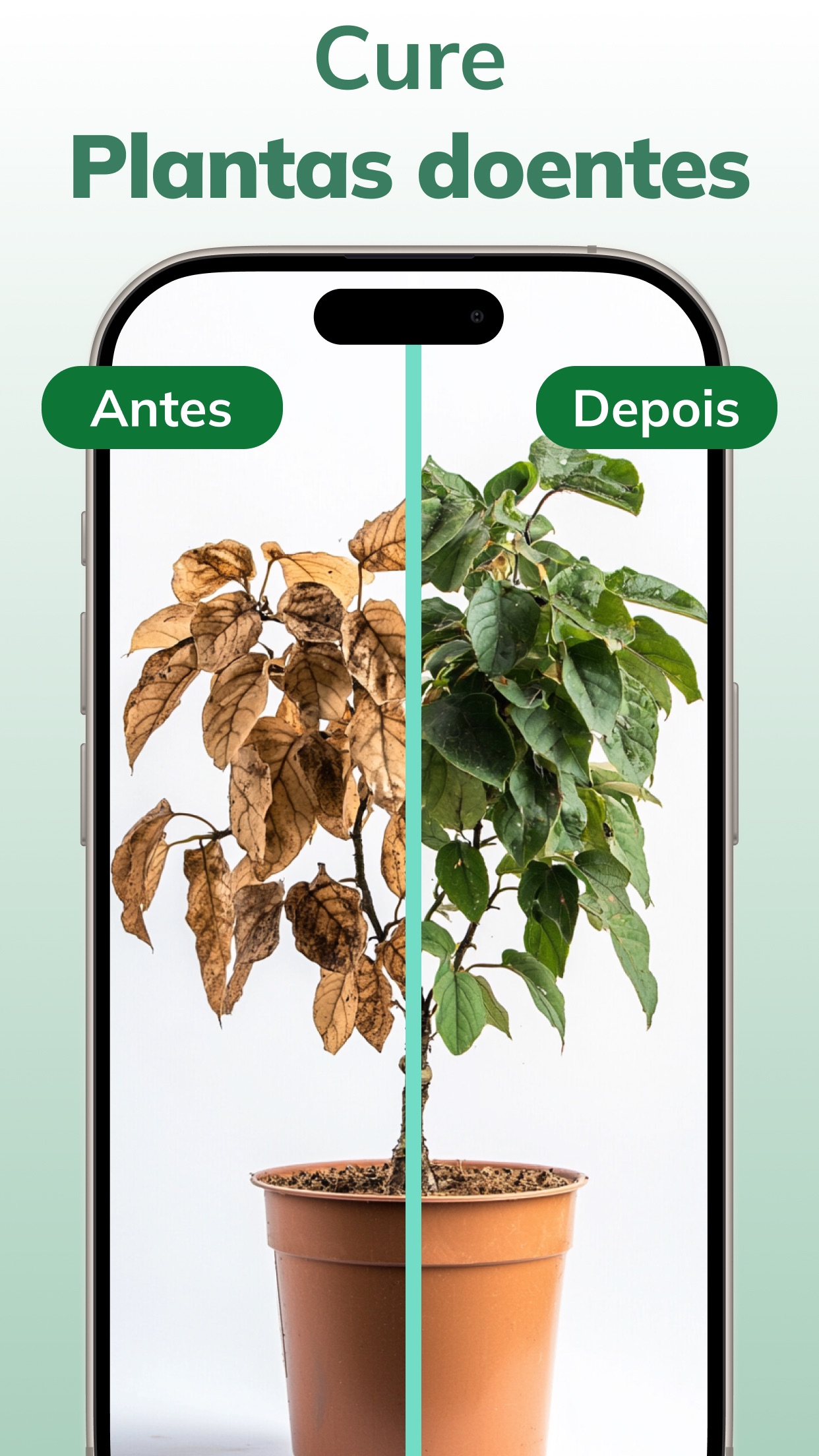 Captura de ecrã 3 da app AI Plant Identifier Diagnosis