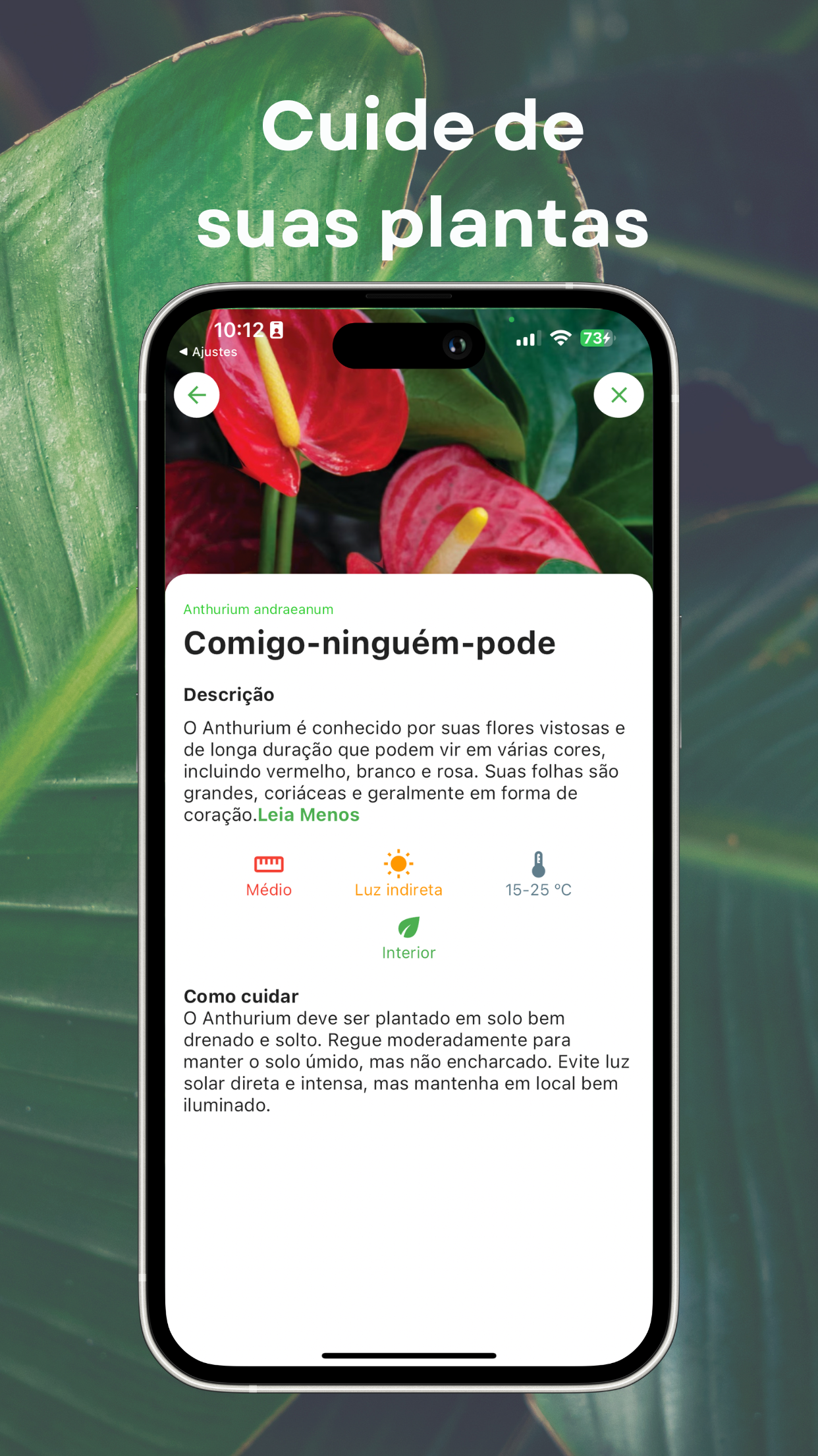 Captura de ecrã 3 da app Reconhecer Plantas - Petals