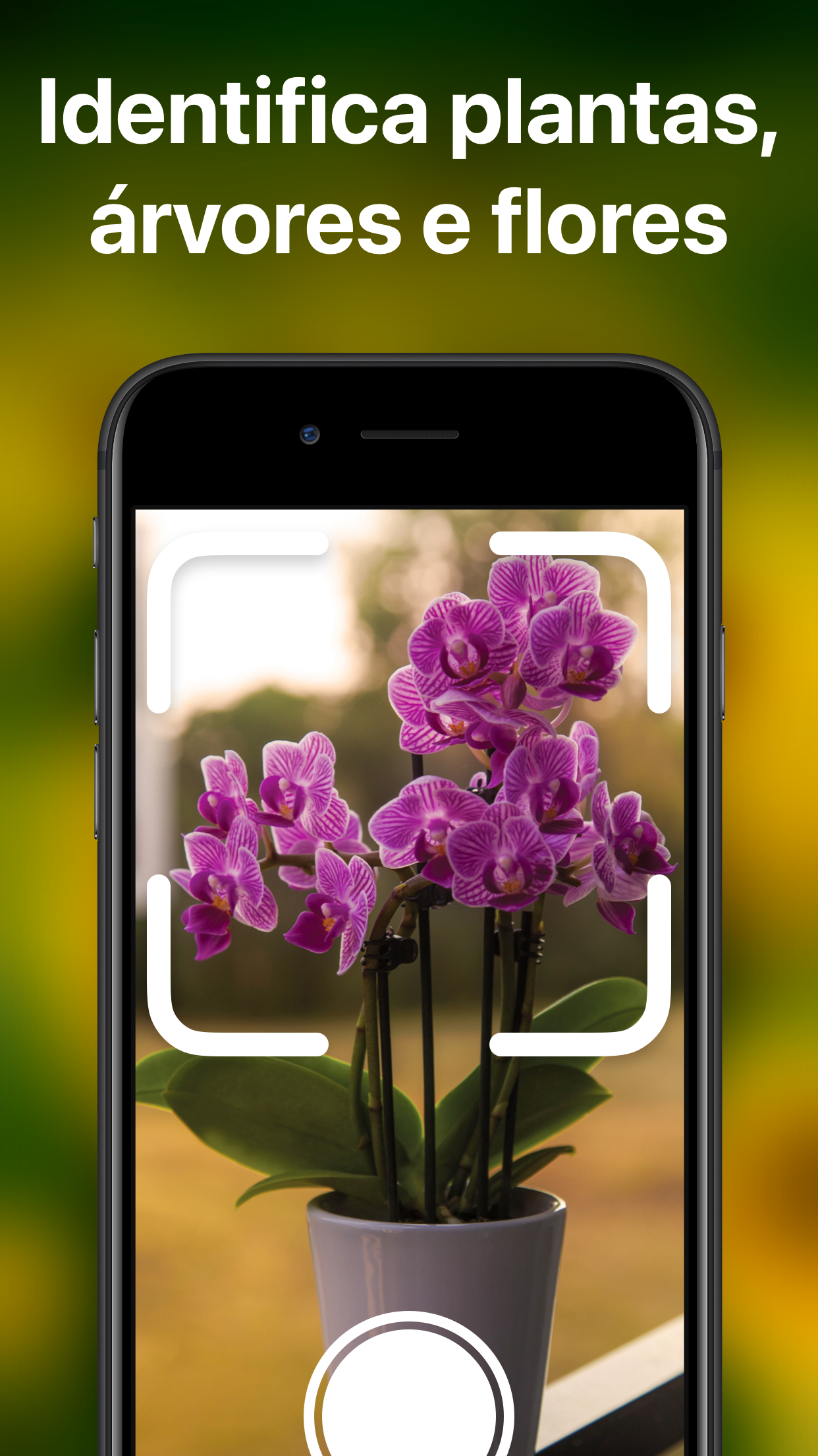 Captura de ecrã 2 da app PlantAI Identificação plantas