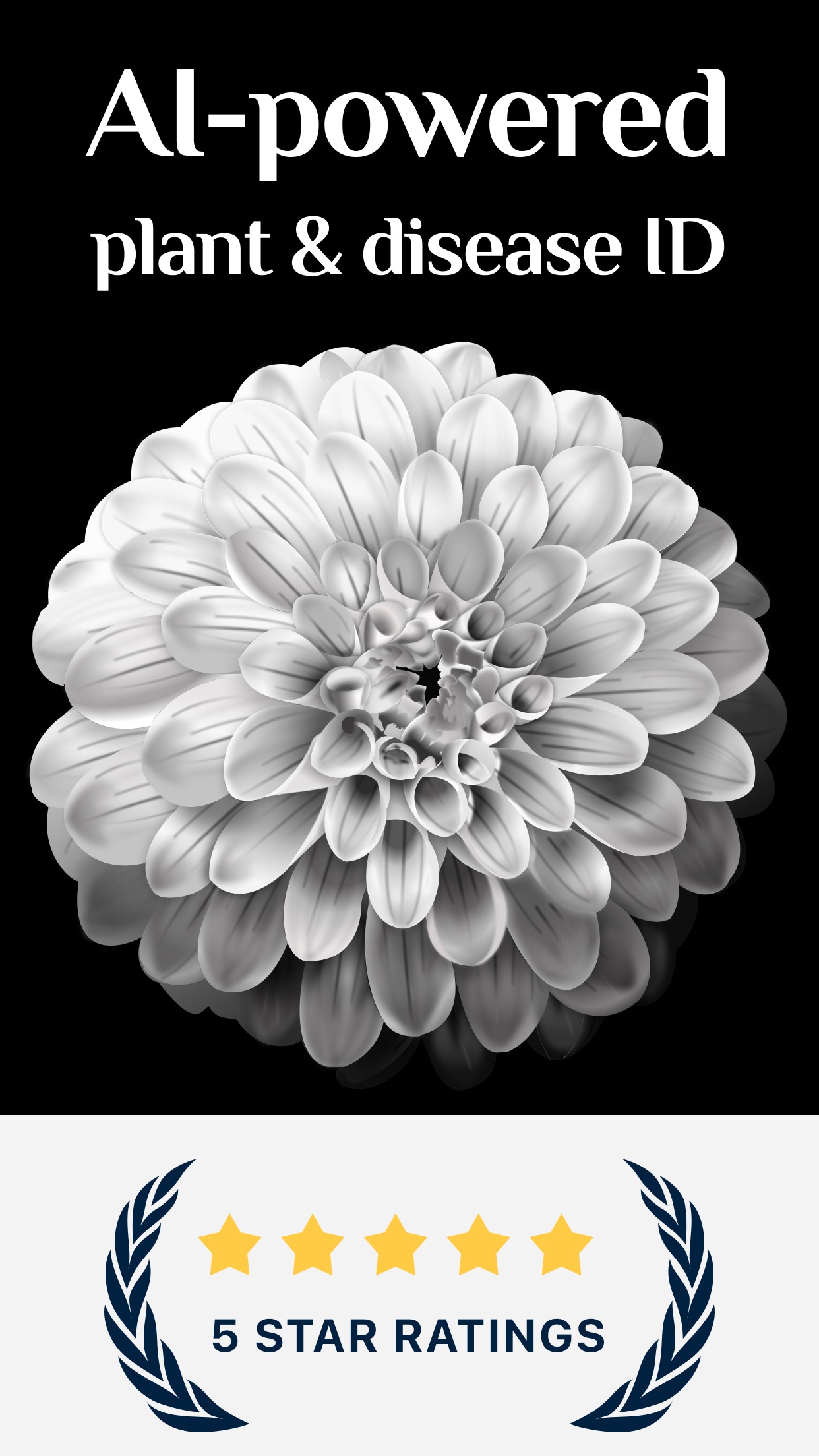 Captura de ecrã 1 da app Identificador de Plantas +