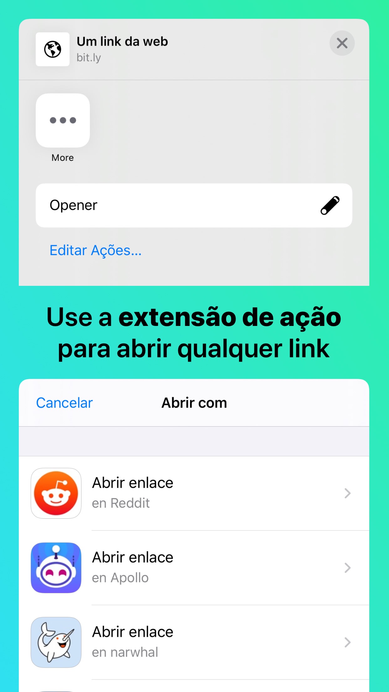 Captura de ecrã 2 da app Opener