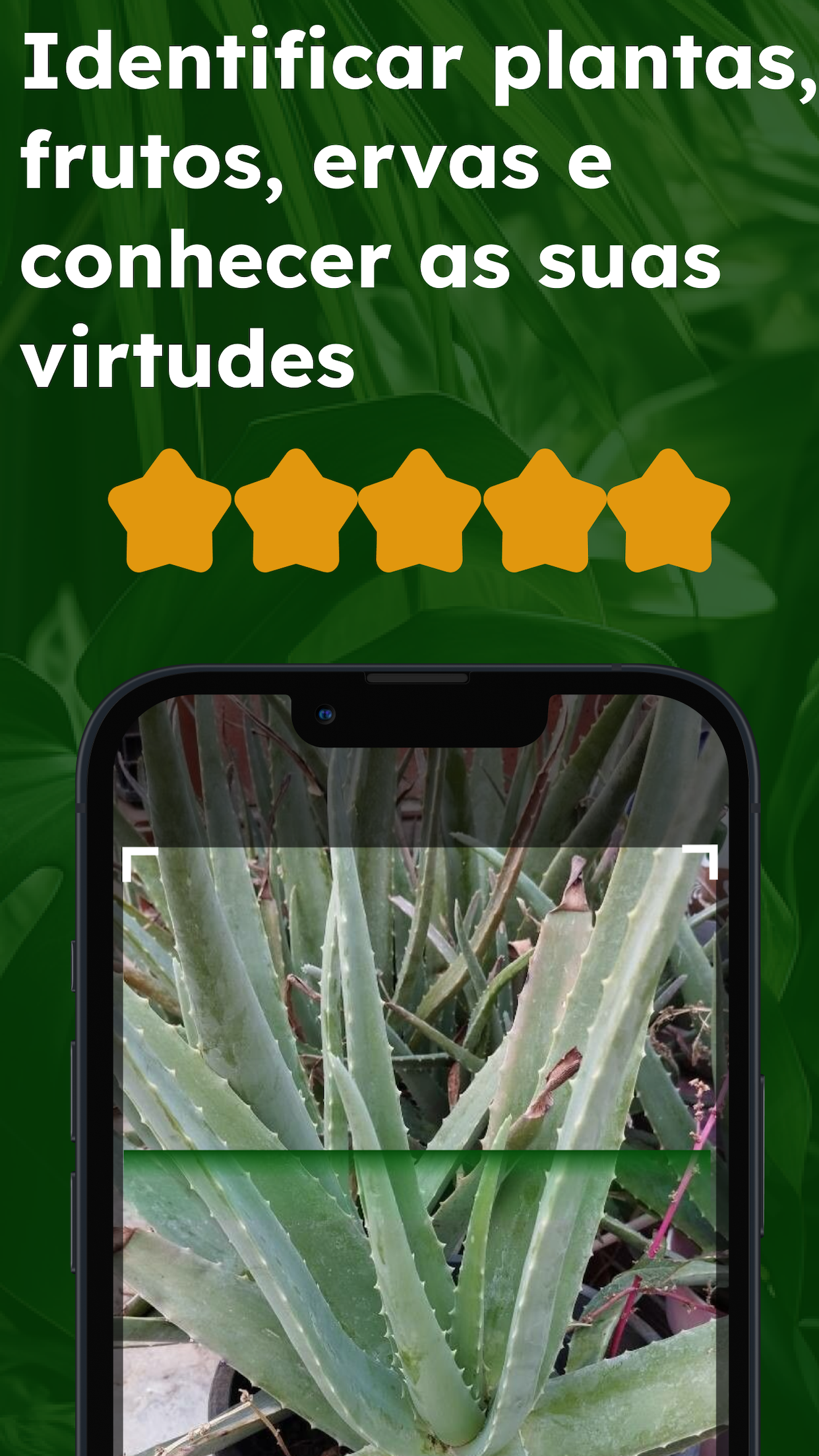 Captura de ecrã 1 da app Plantas identificador e folhas