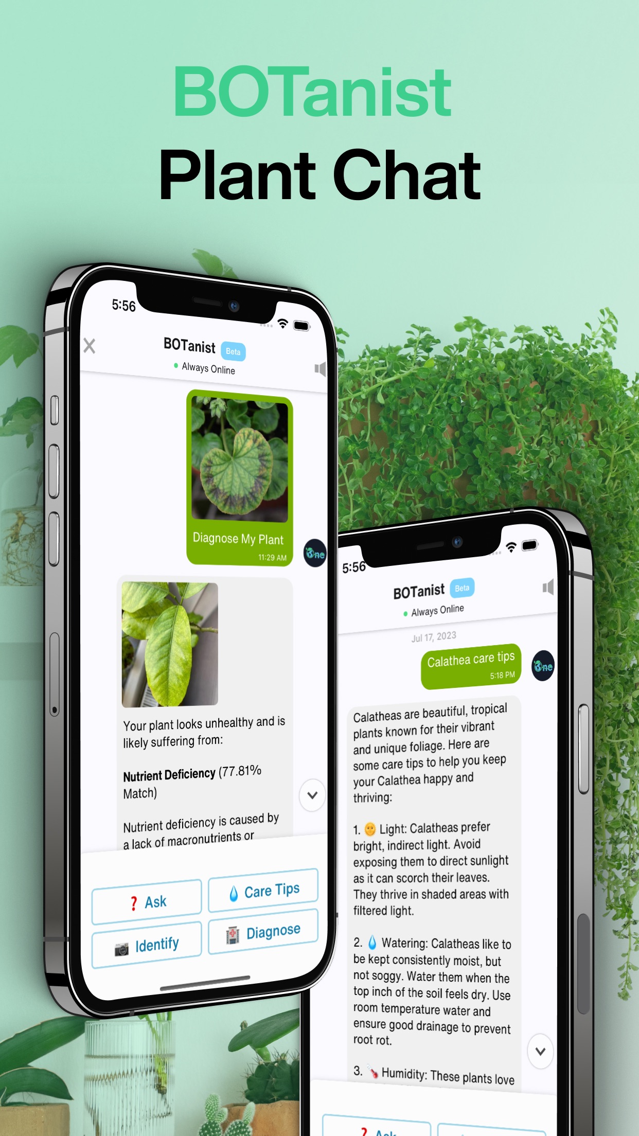 Captura de ecrã 4 da app Grow - Scientific Plant Care