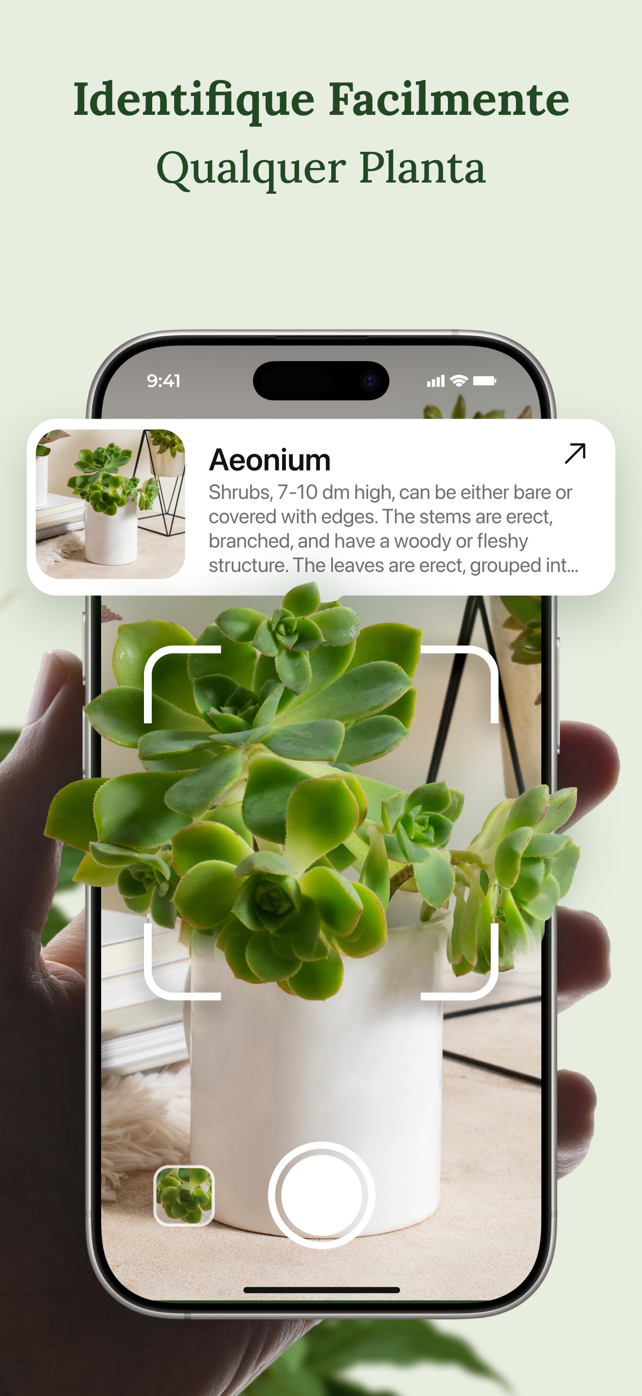 Captura de ecrã 2 da app AI Plant Identifier・Flower App