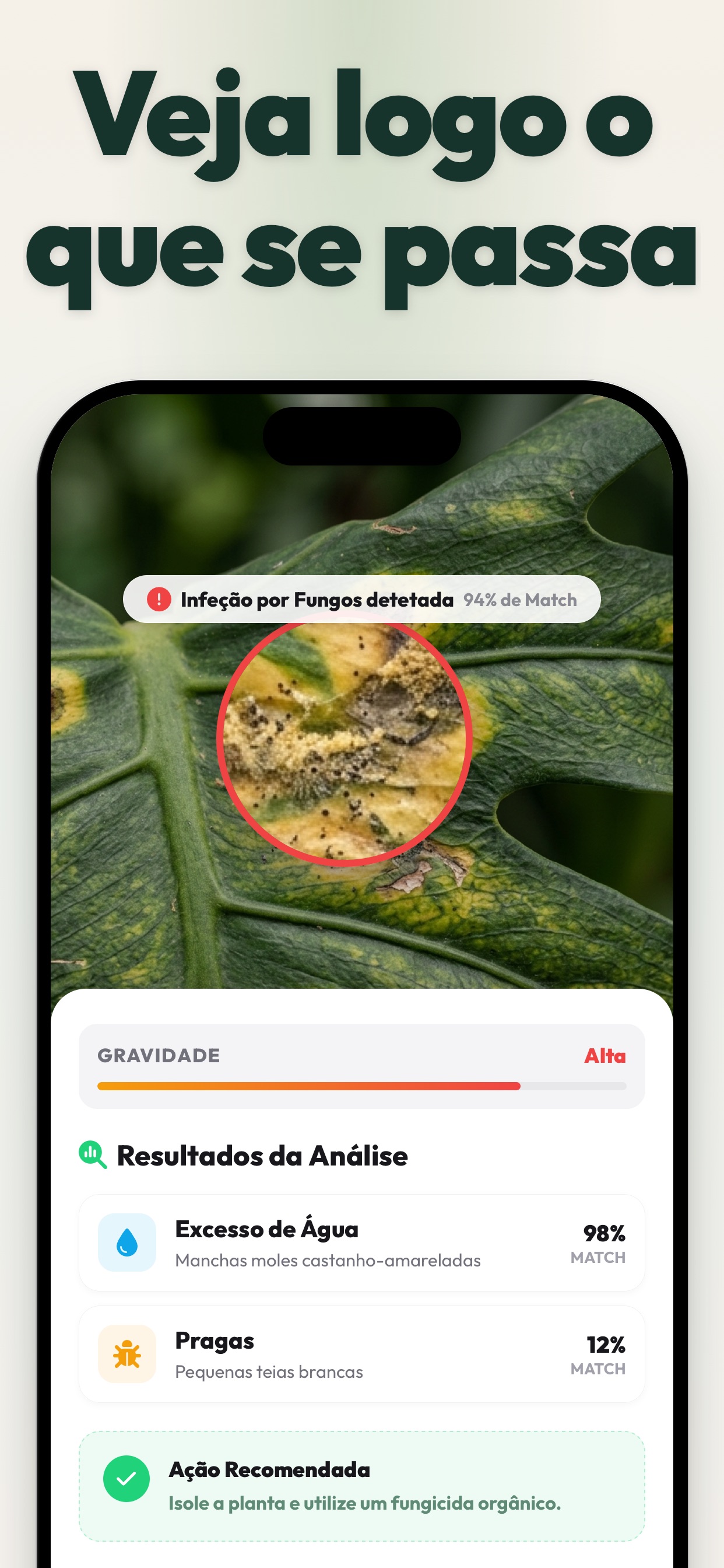 Captura de ecrã 2 da app Identificar Plantas e Doenças