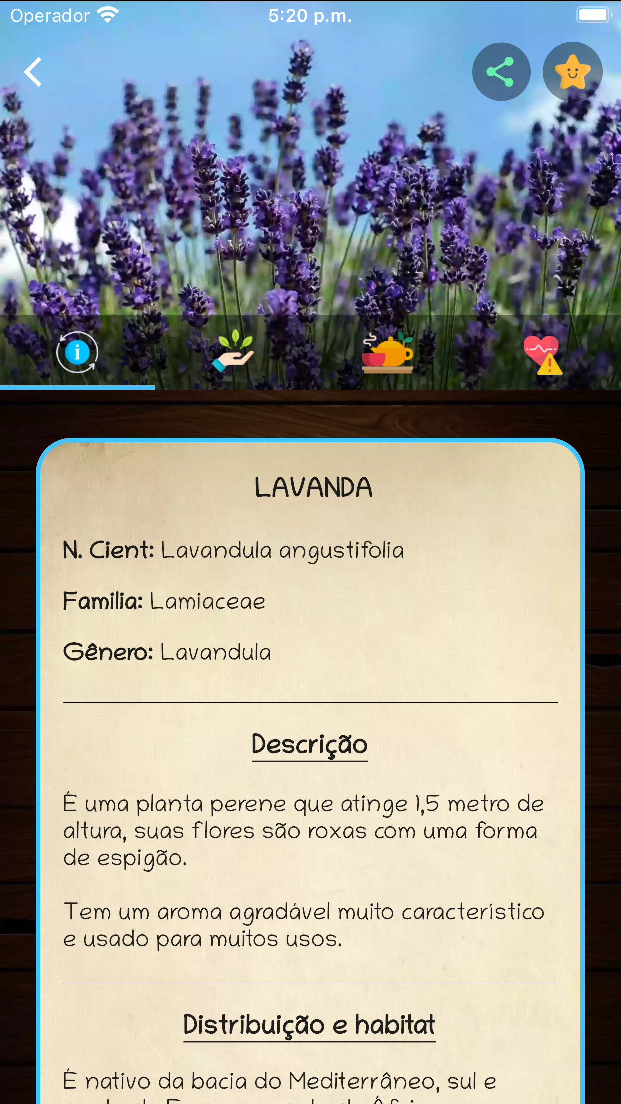 Captura de ecrã 4 da app myRemedy: Plantas medicinais