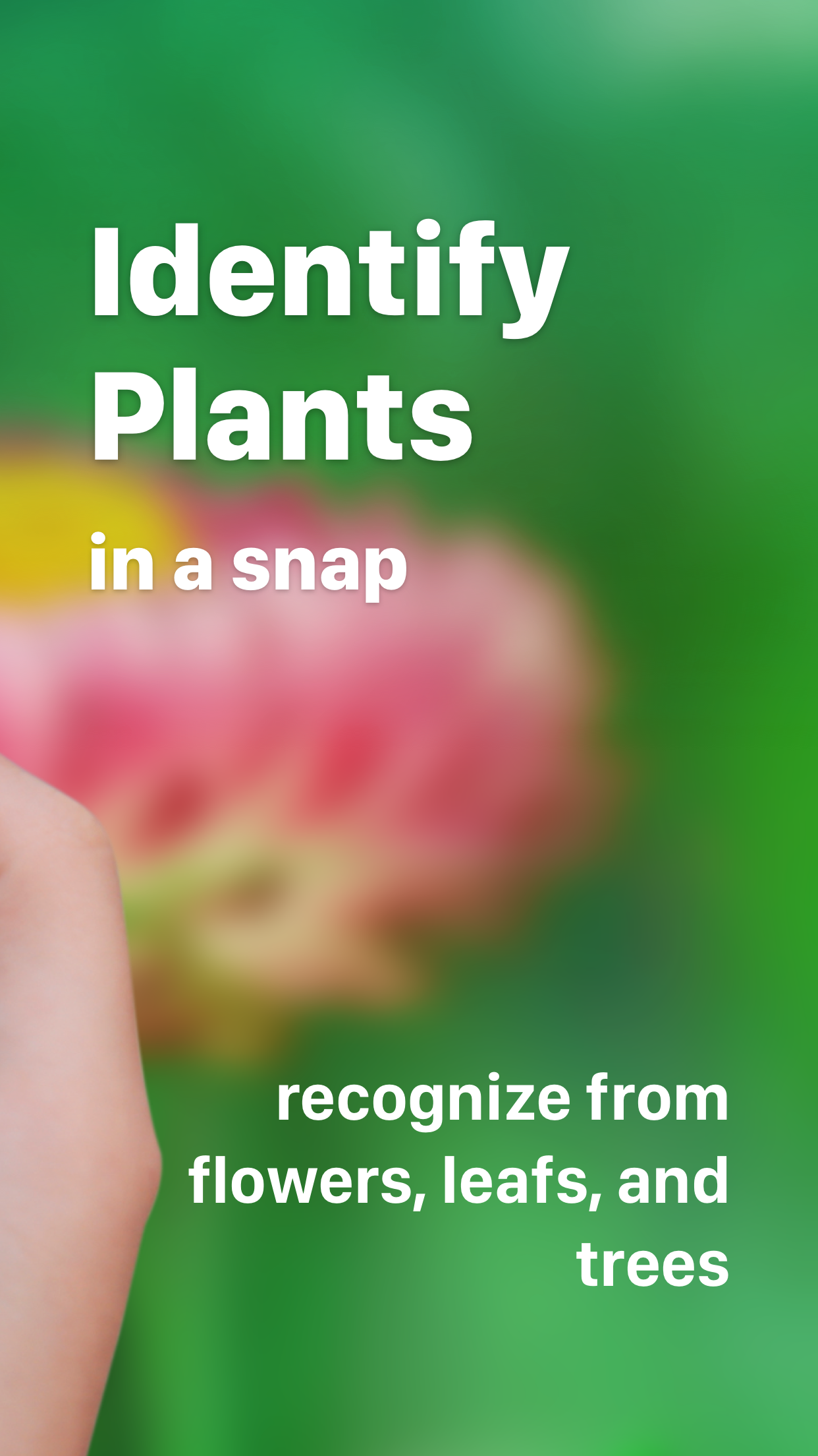 Captura de ecrã 2 da app Plant Identification ++