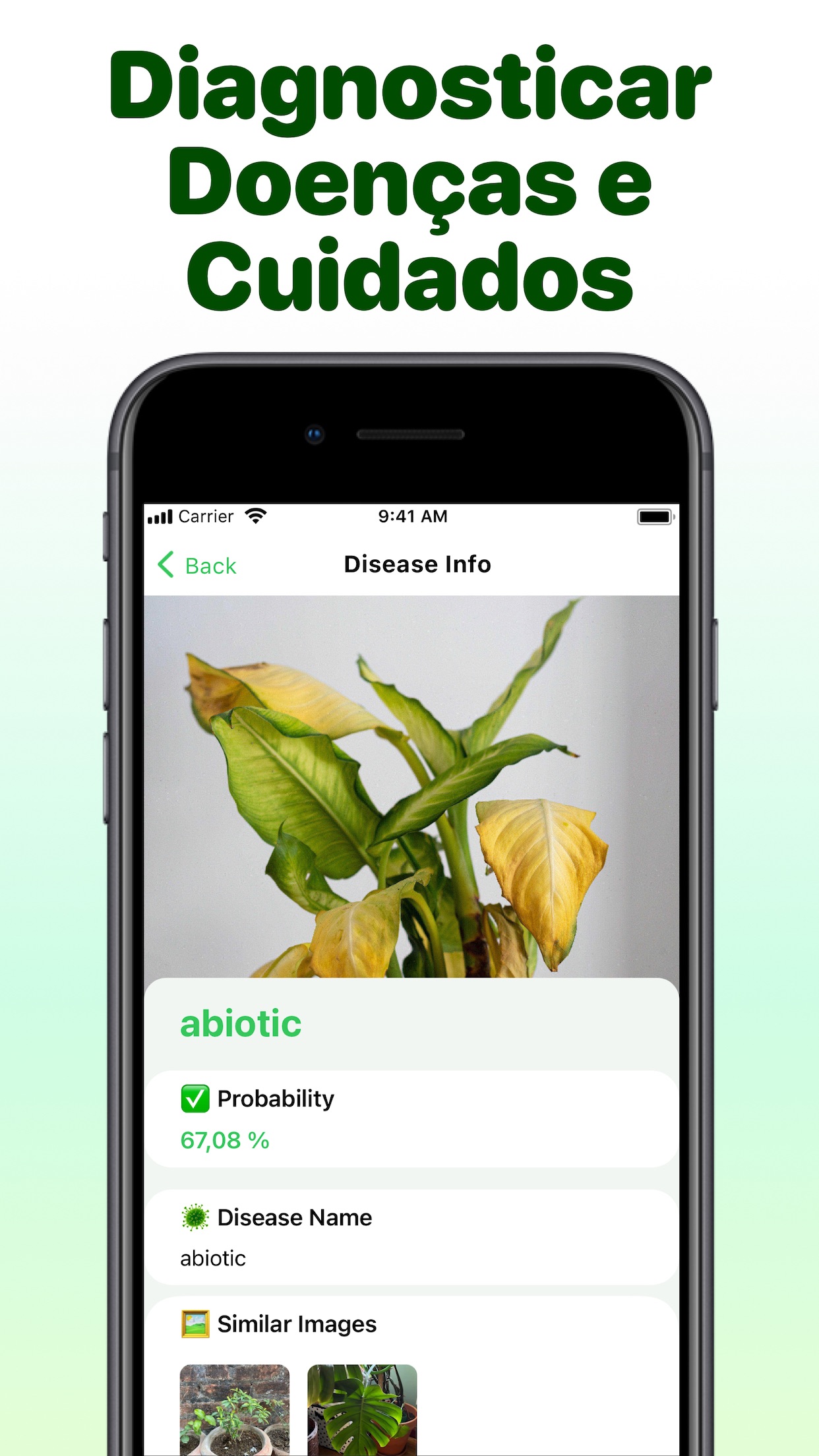 Captura de ecrã 4 da app Identificar Plantas Que Planta