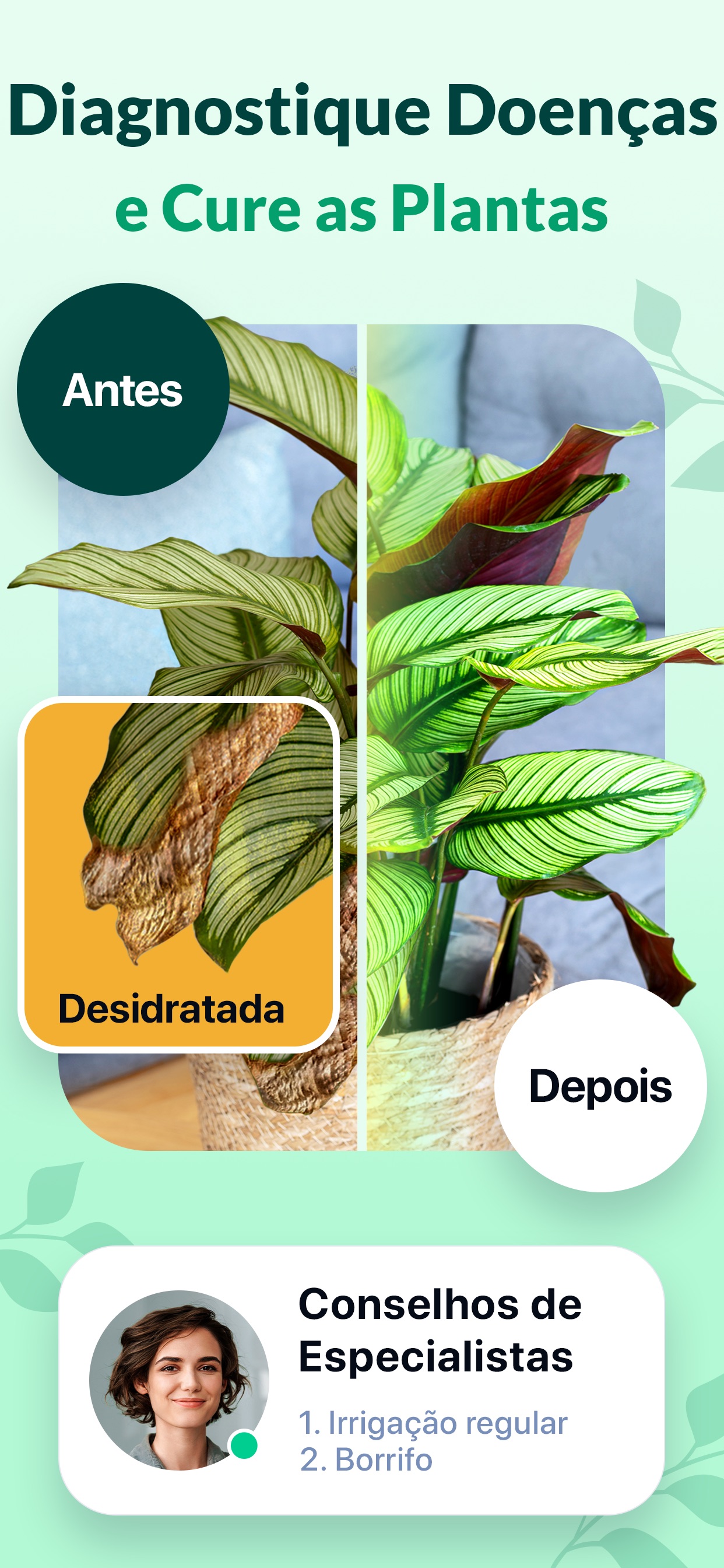 Captura de ecrã 4 da app Plant Guru - Cuidar de plantas