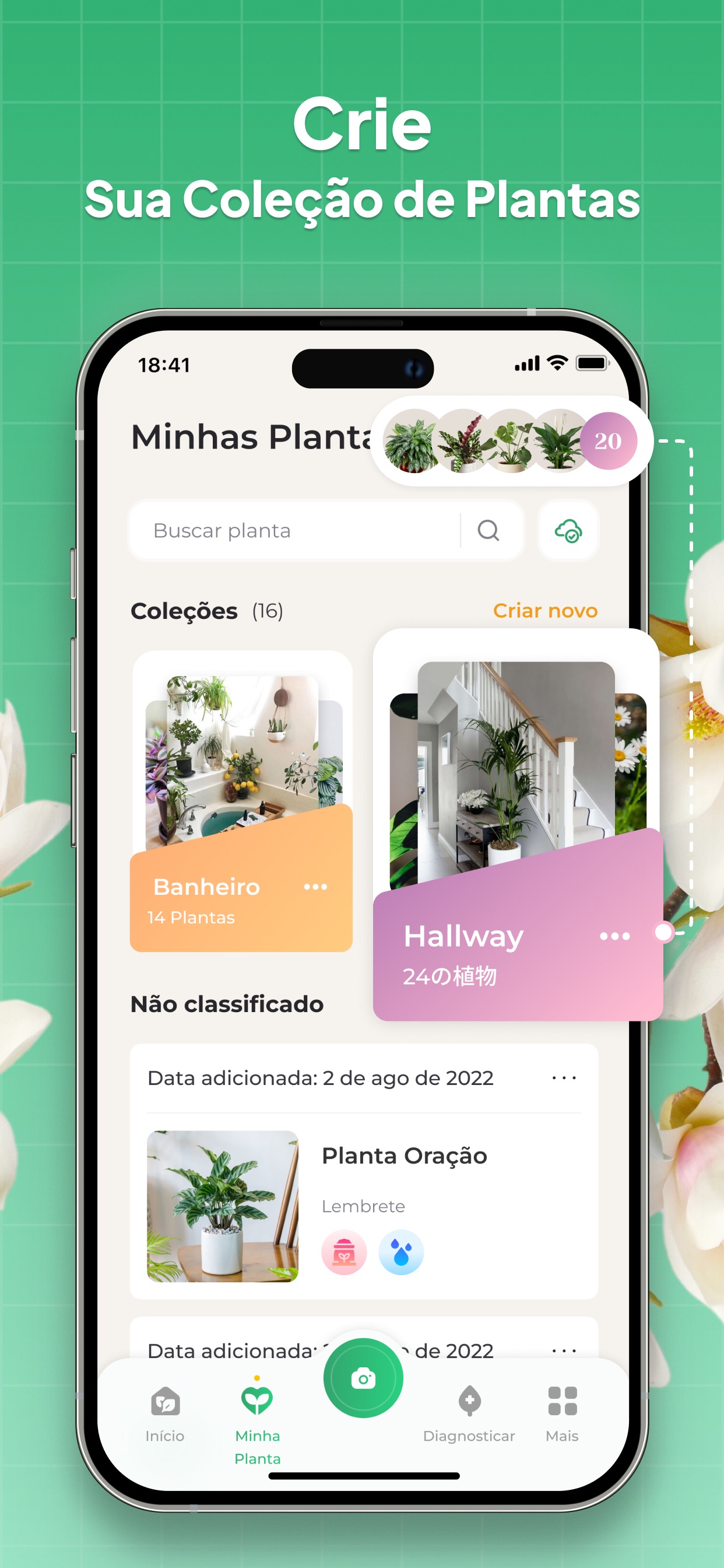 Captura de ecrã 2 da app Identificar Plantas: LeafSnap
