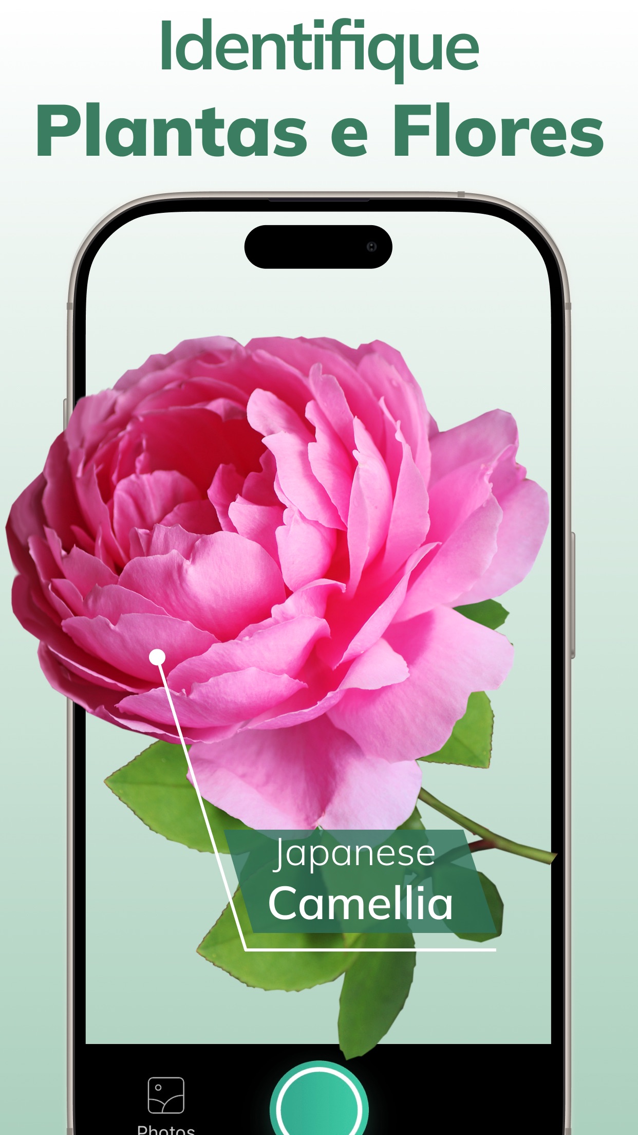 Captura de ecrã 1 da app AI Plant Identifier Diagnosis