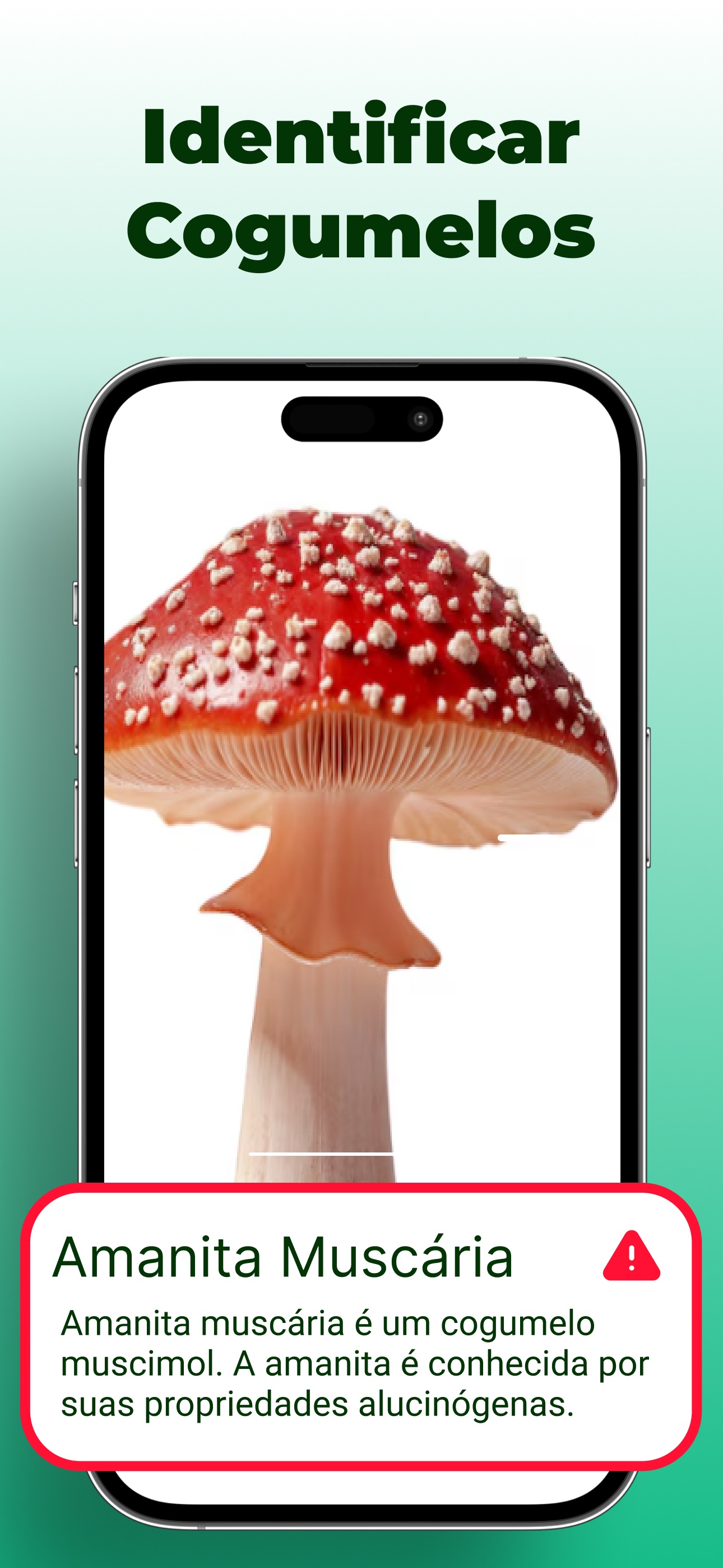 Captura de ecrã 3 da app Identificador de Plantas: