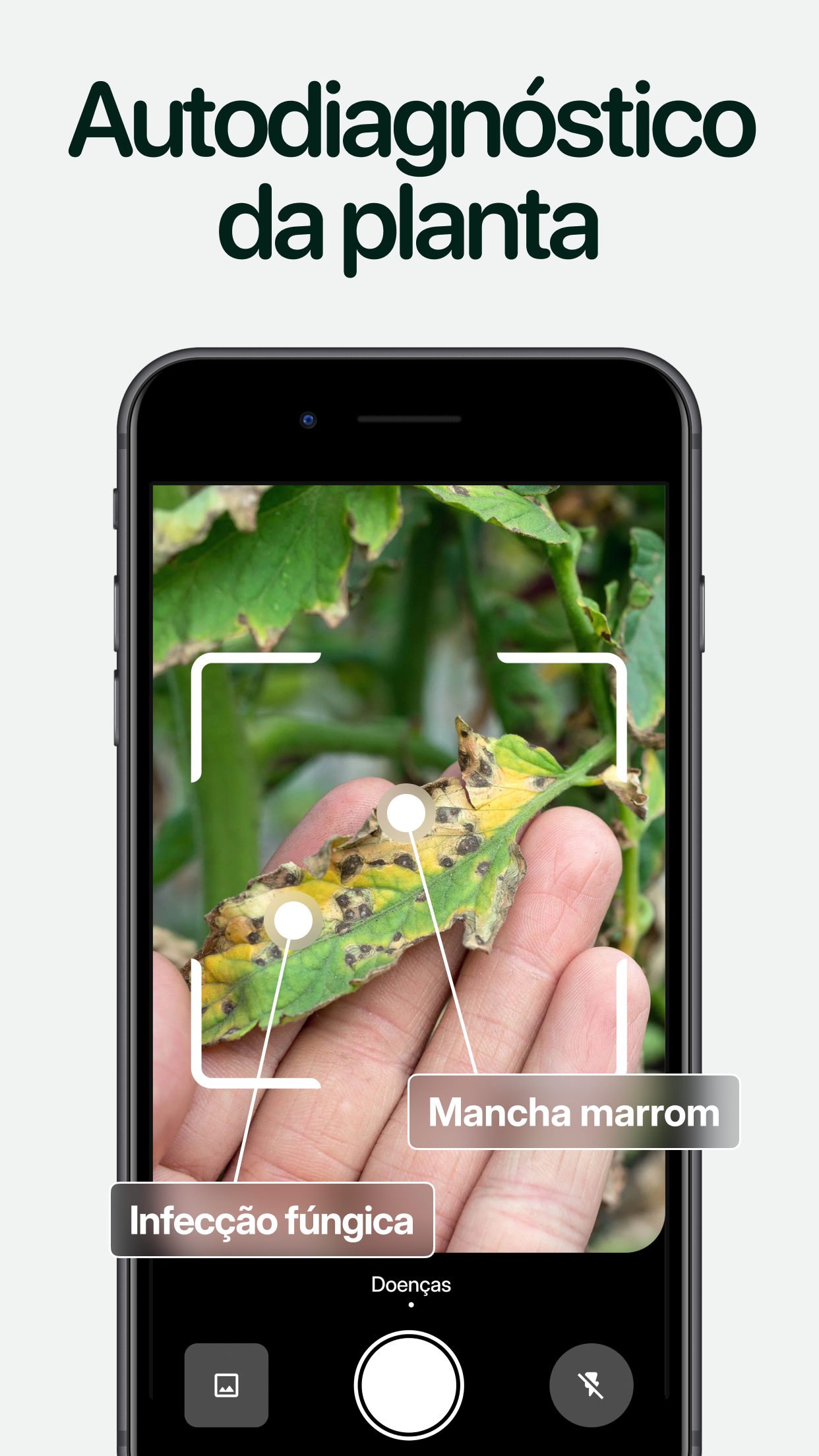 Captura de ecrã 4 da app Planto: Identificar Plantas