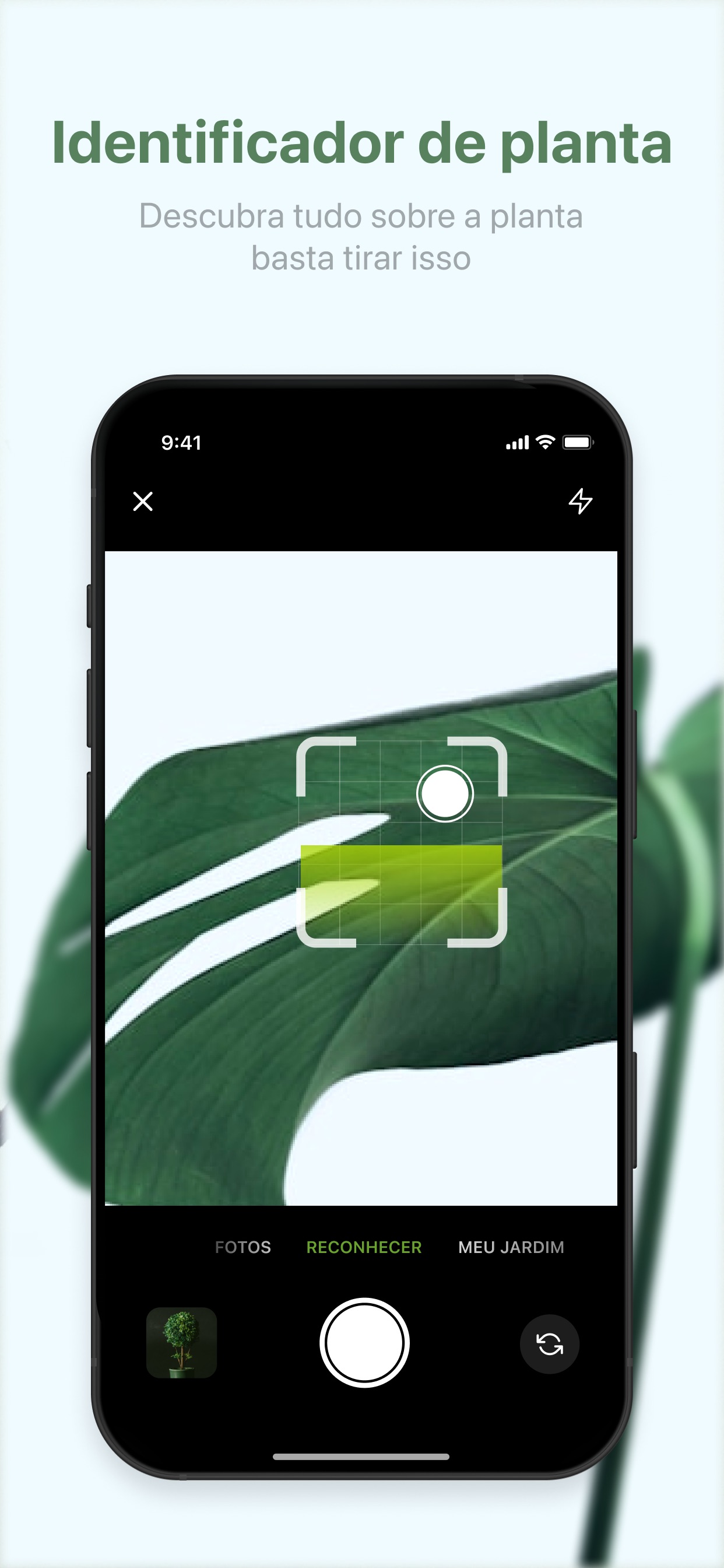Captura de ecrã 3 da app Identificador de plantas