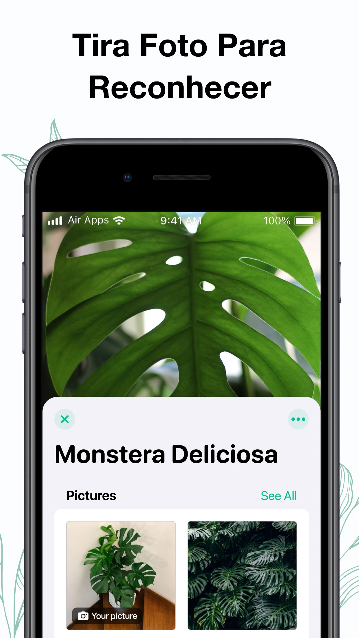 Captura de ecrã 4 da app Plants Air: Identifica Plantas