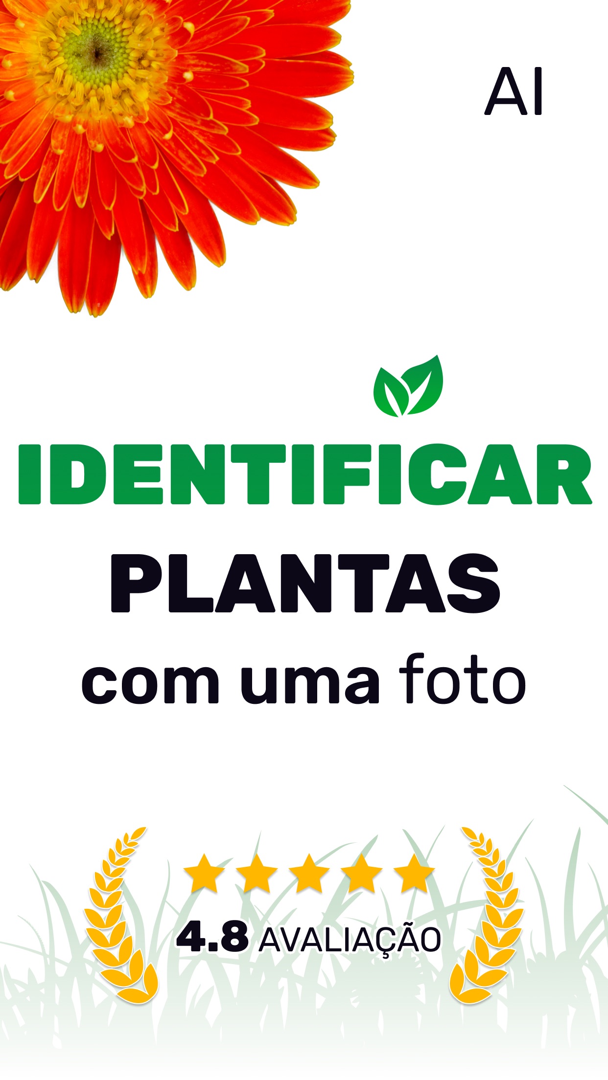 Captura de ecrã 1 da app Identificação de plantes