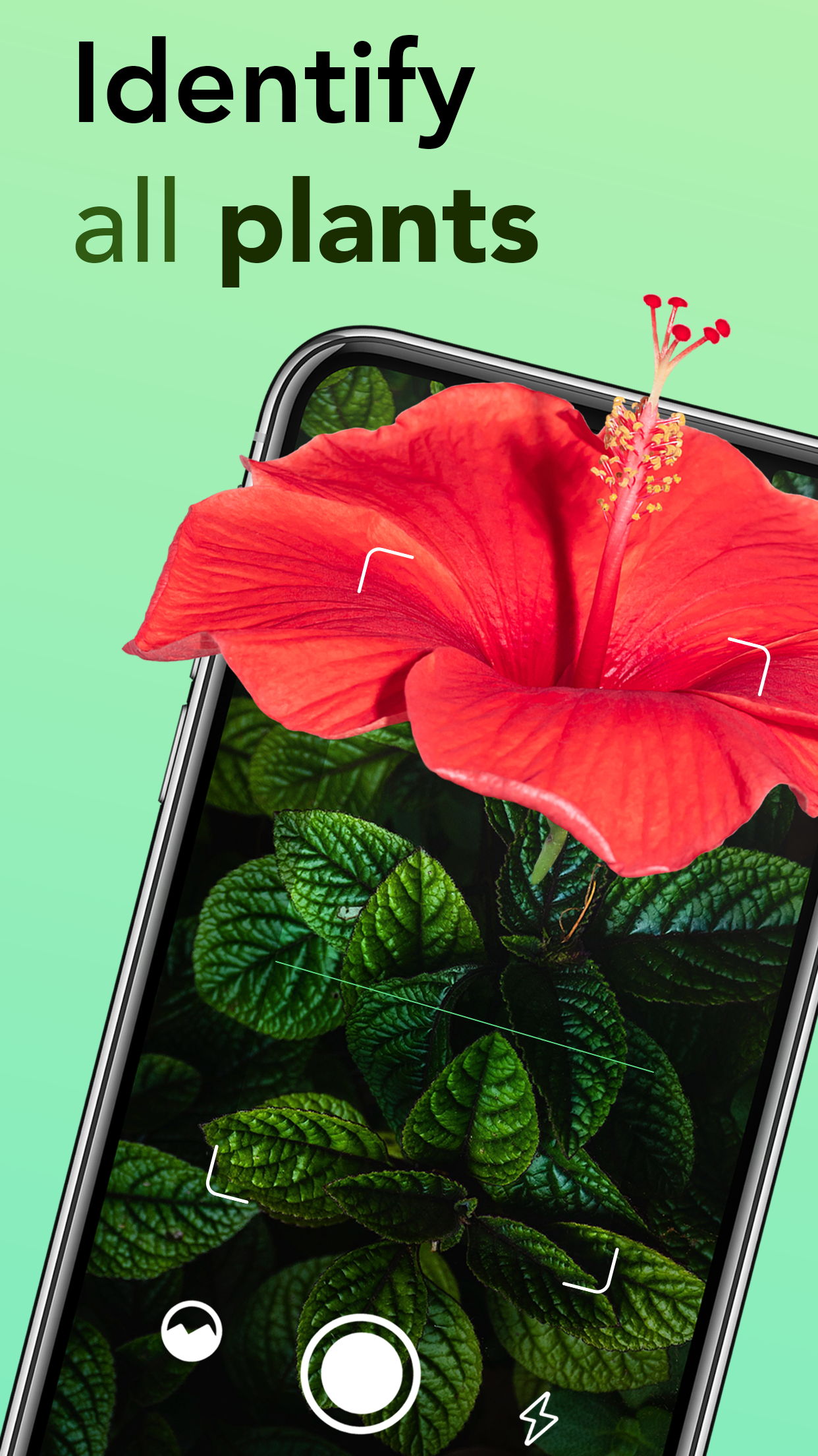 Captura de ecrã 1 da app Identificador de plantas - Net