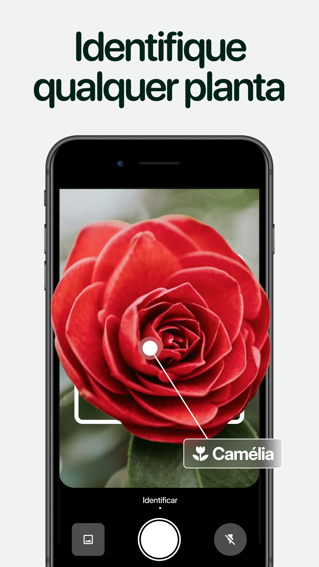 Captura de ecrã 1 da app Planto: Identificar Plantas