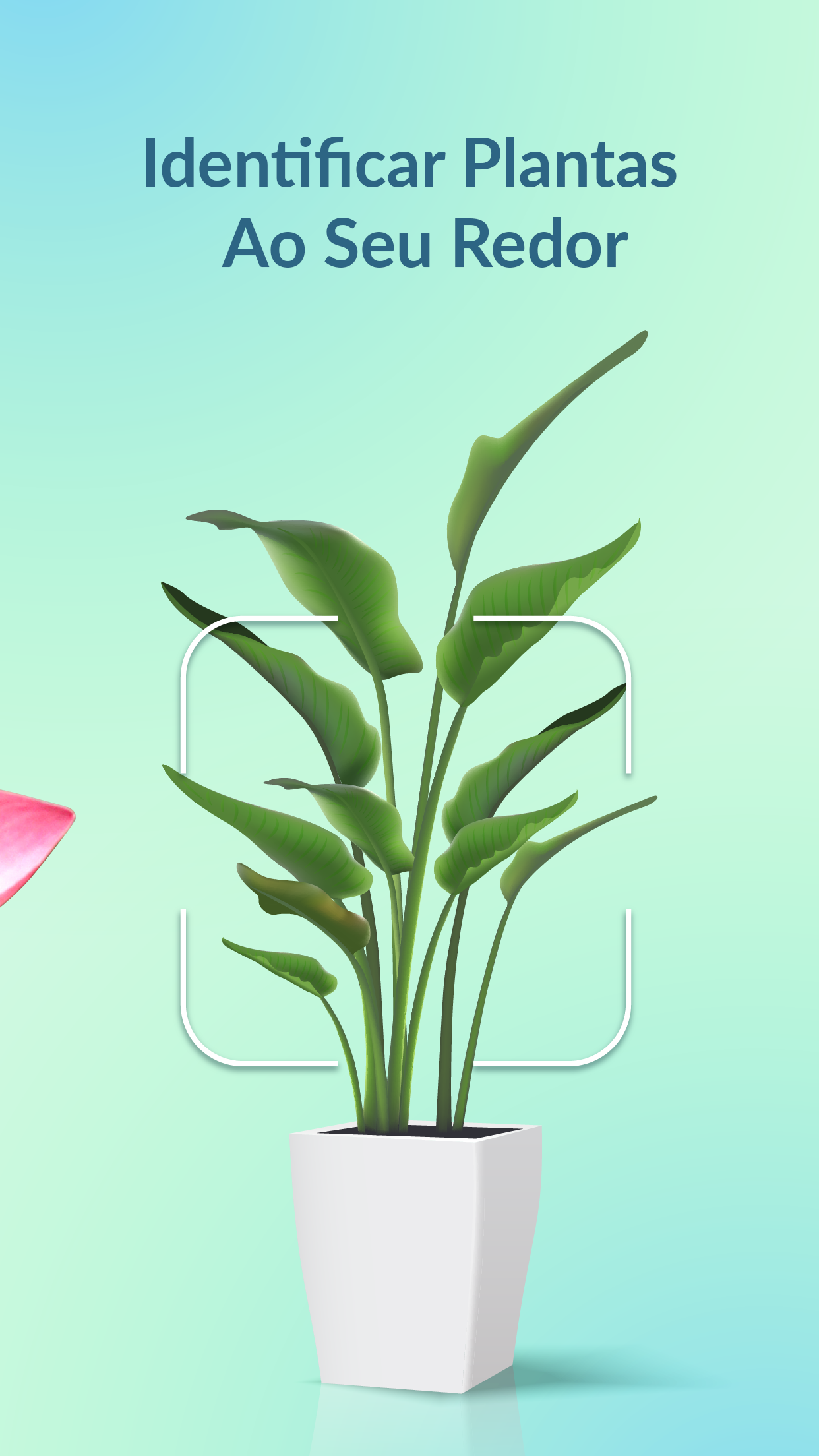 Captura de ecrã 2 da app Plantility Plant Identifier