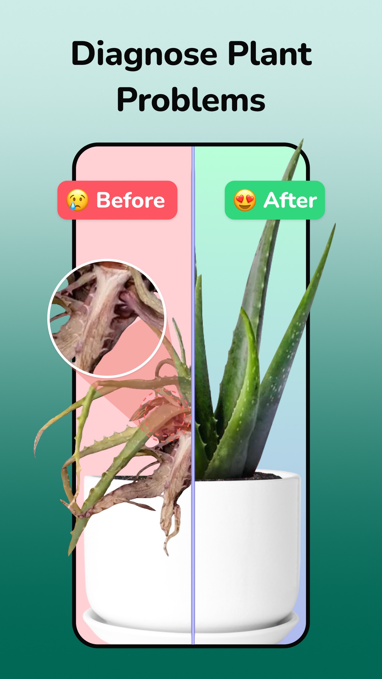 Captura de ecrã 2 da app Plantfie・Reconhece plantas
