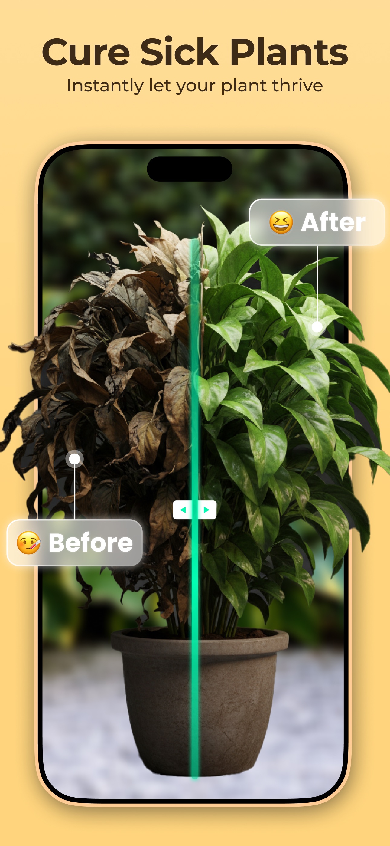 Captura de ecrã 4 da app Plantora- Identificar Plantas