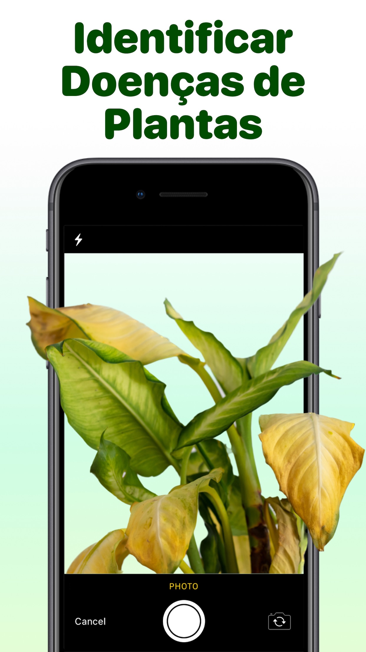 Captura de ecrã 3 da app Identificar Plantas Que Planta