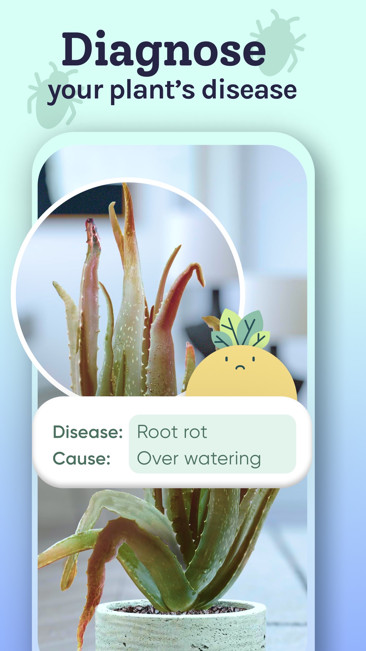 Captura de ecrã 3 da app Plant Identifier, Care: Planty