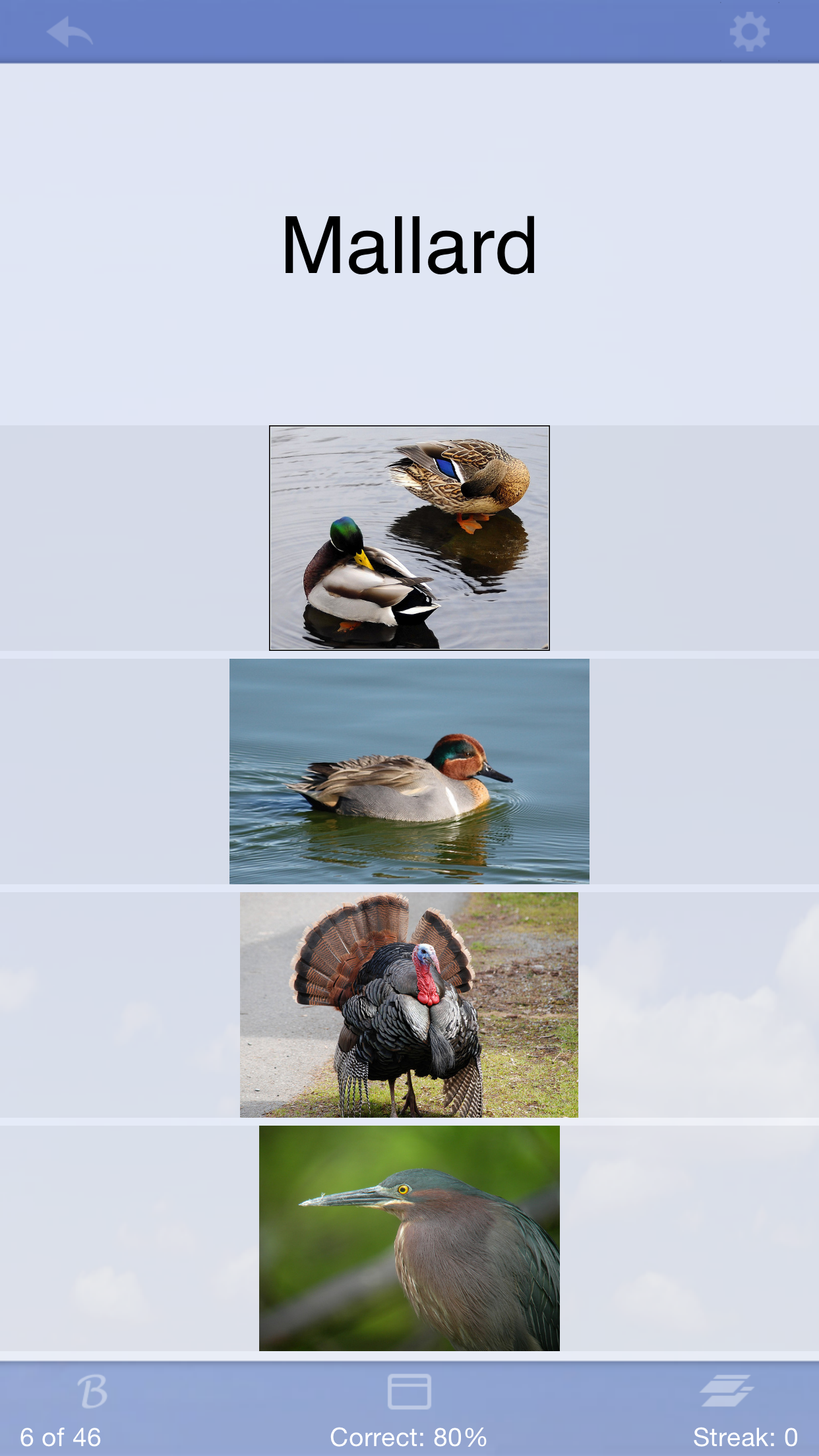 Captura de ecrã 2 da app Flashcards Deluxe