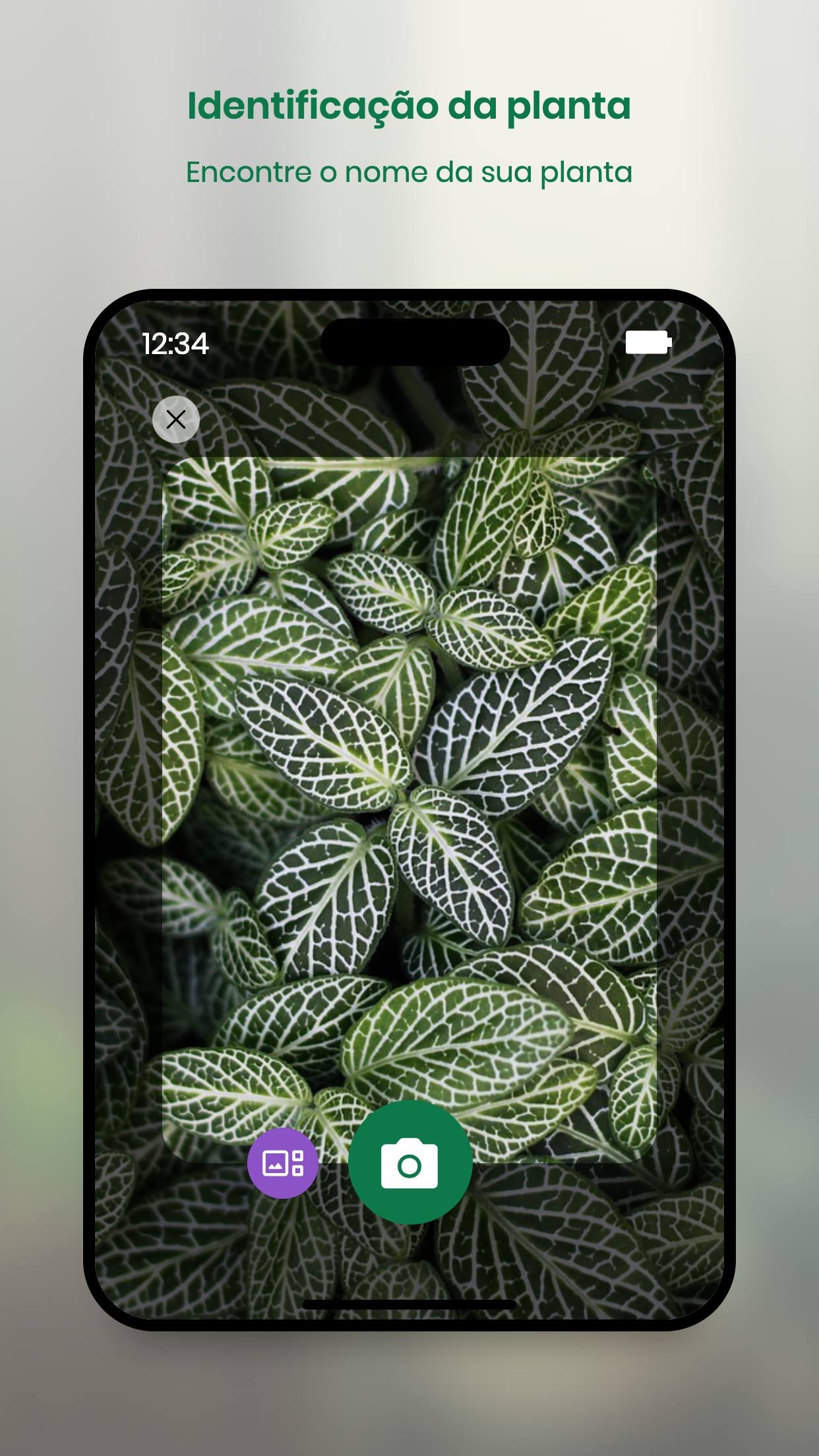 Captura de ecrã 2 da app Monstera - Guia de plantas