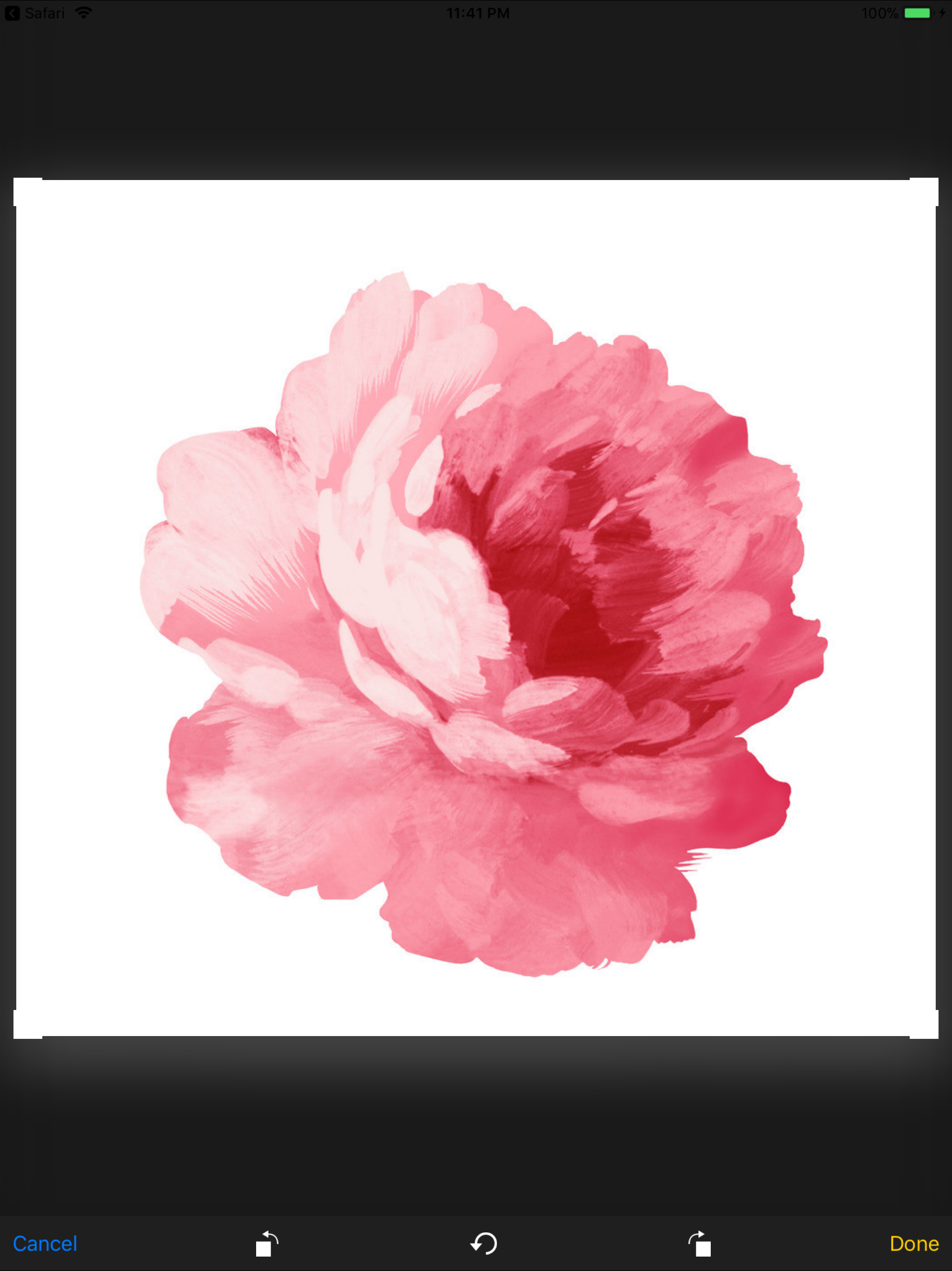 Captura de ecrã 4 da app iplant - Plant identifier