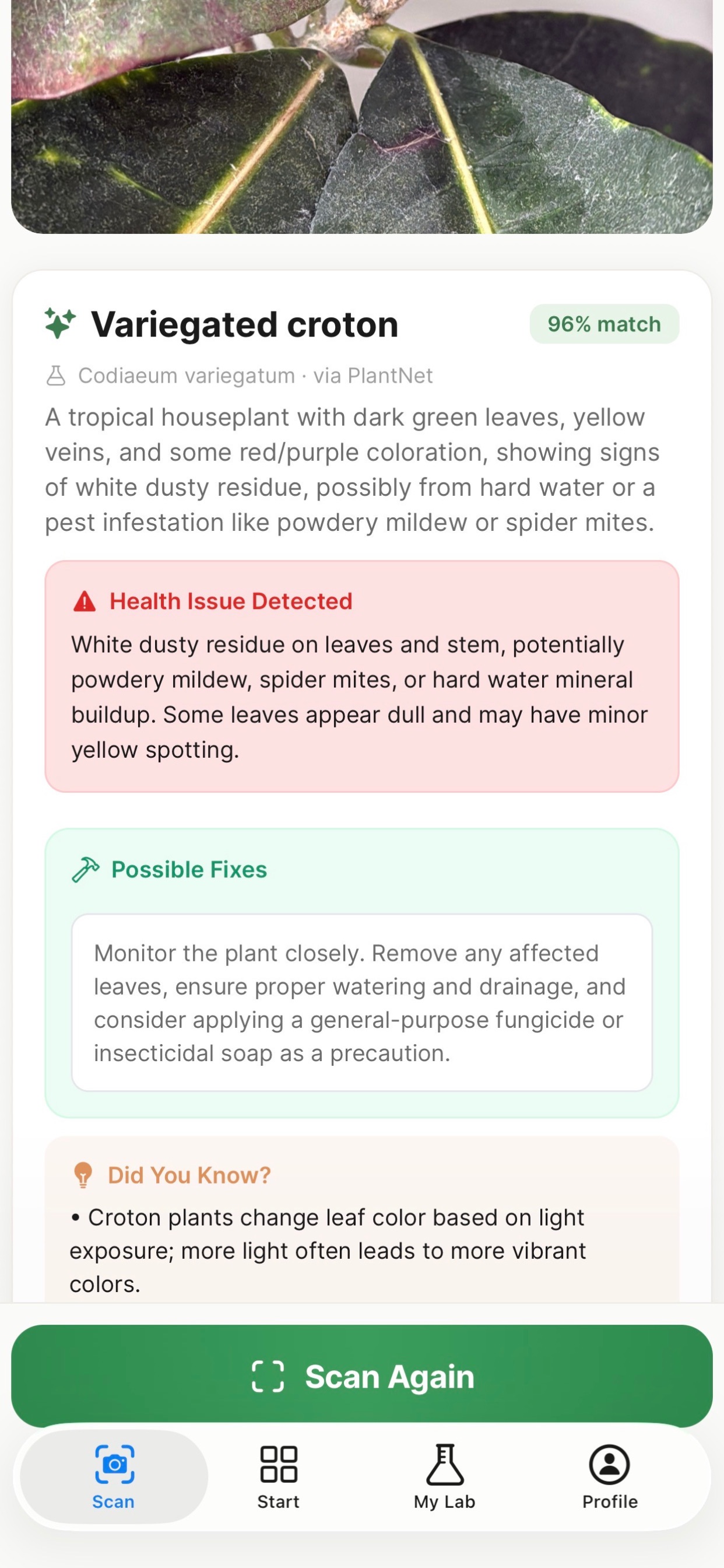 Captura de ecrã 4 da app Grow It! - Plant Scanner & Lab