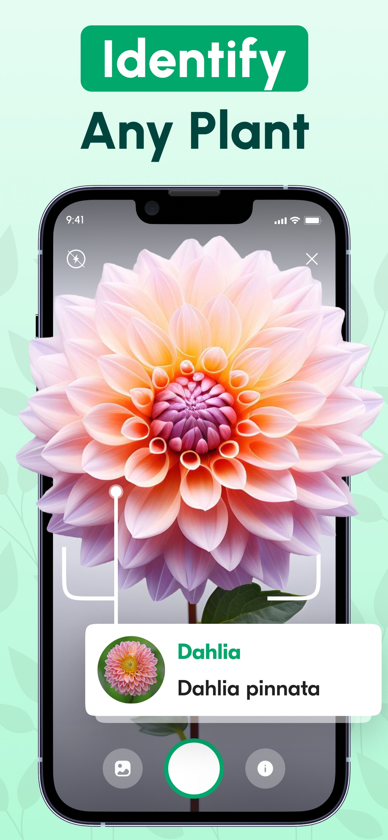 Captura de ecrã 1 da app Identificador de Plantas IA
